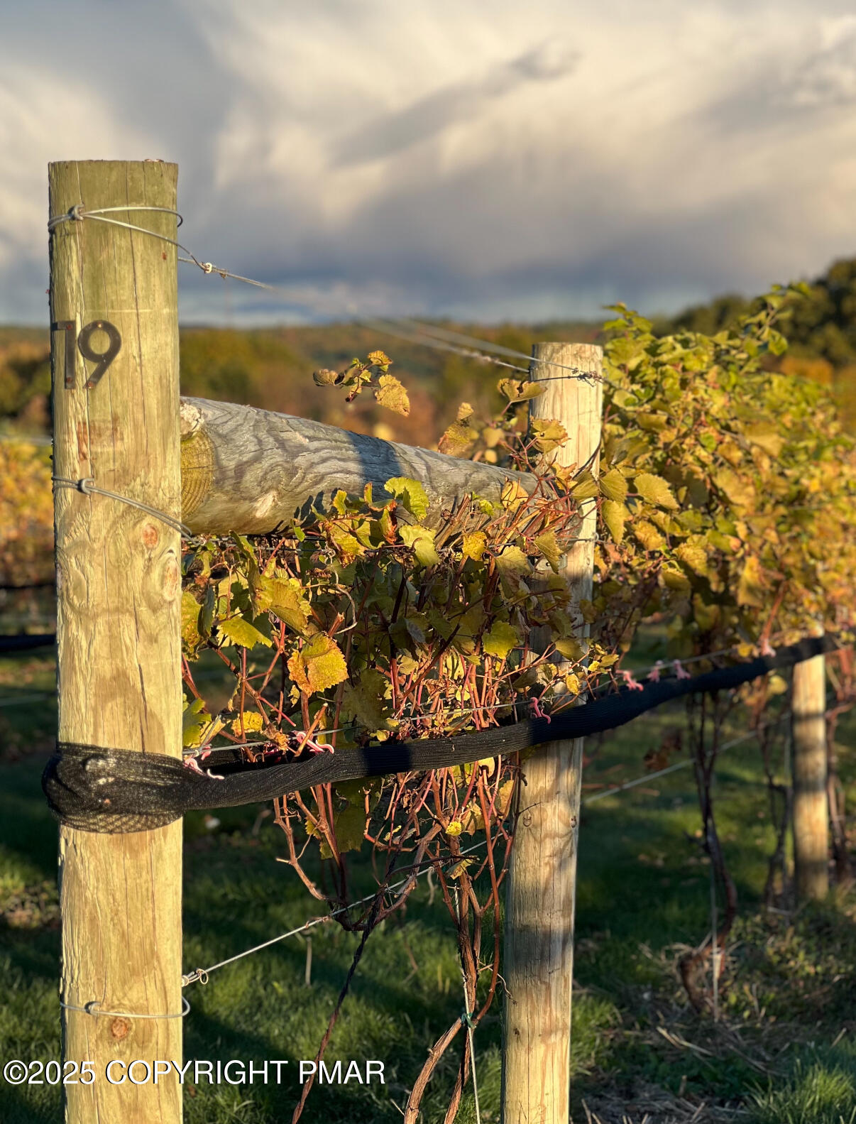 1212 Burger Hollow Road