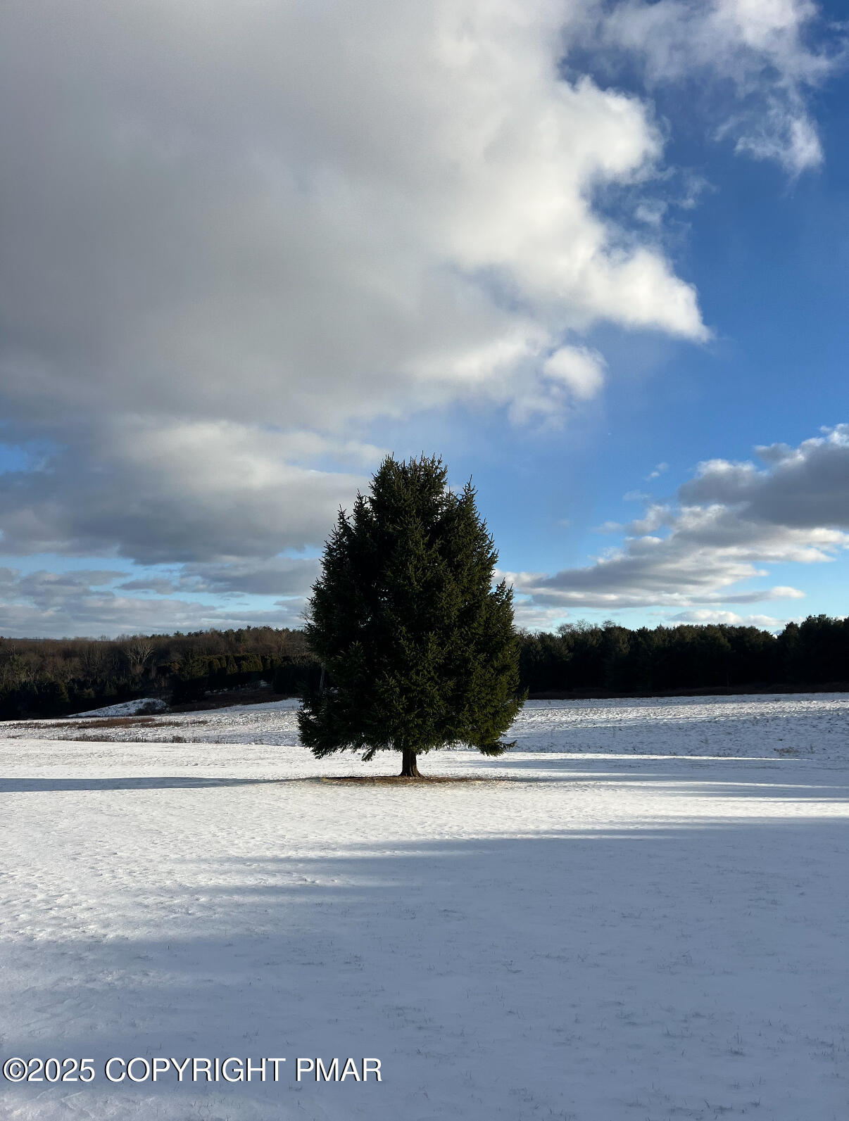 1212 Burger Hollow Road