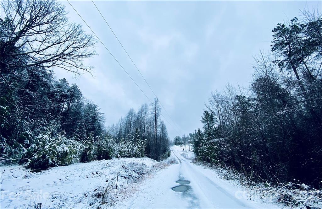 143 Pilot Ridge Road Unit: 8