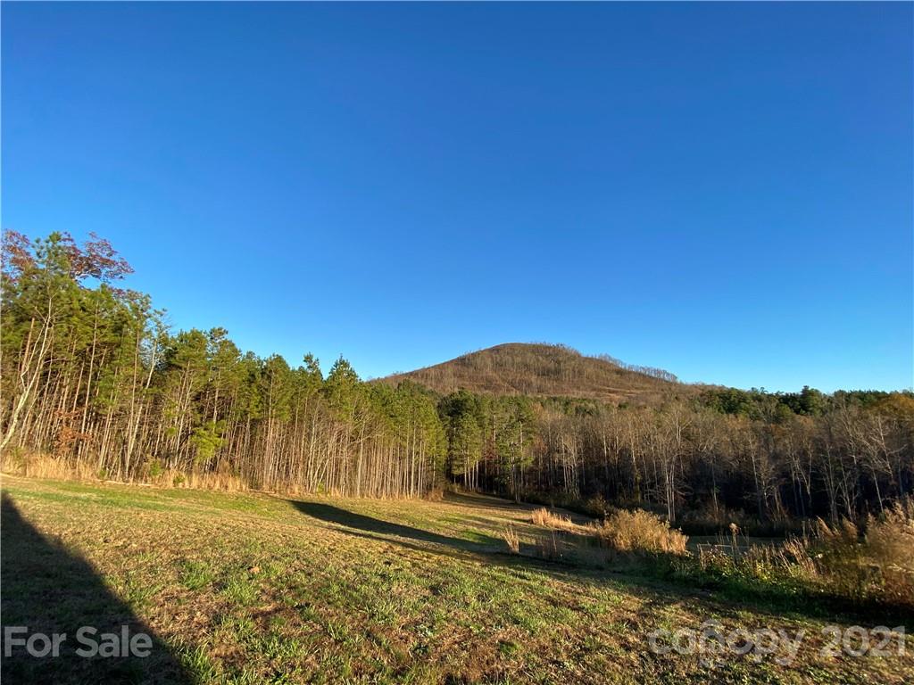 182 Pilot Ridge Road Unit: 9