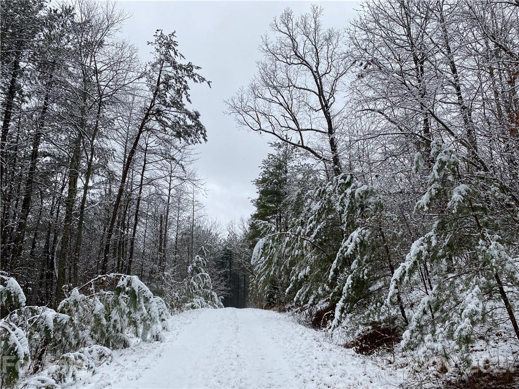 257 Pilot Ridge Road Unit: 18