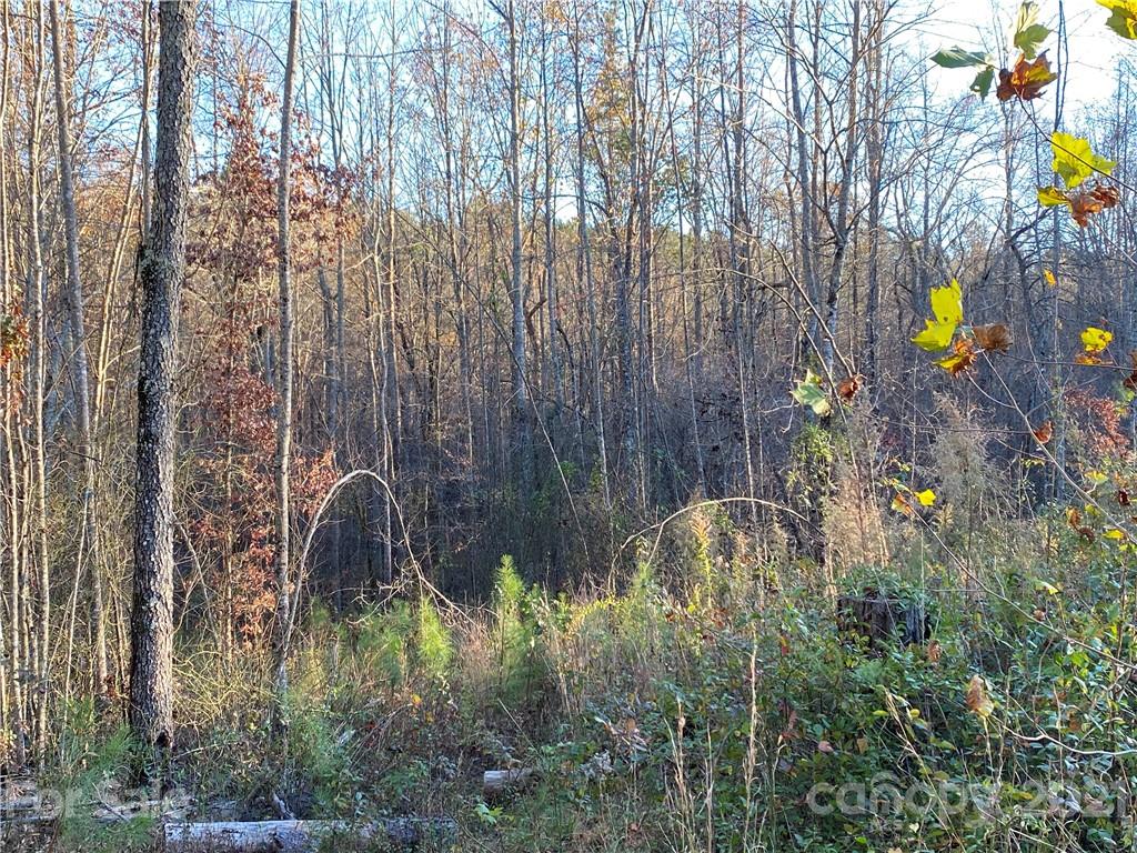 95 Pilot Ridge Road Unit: 21