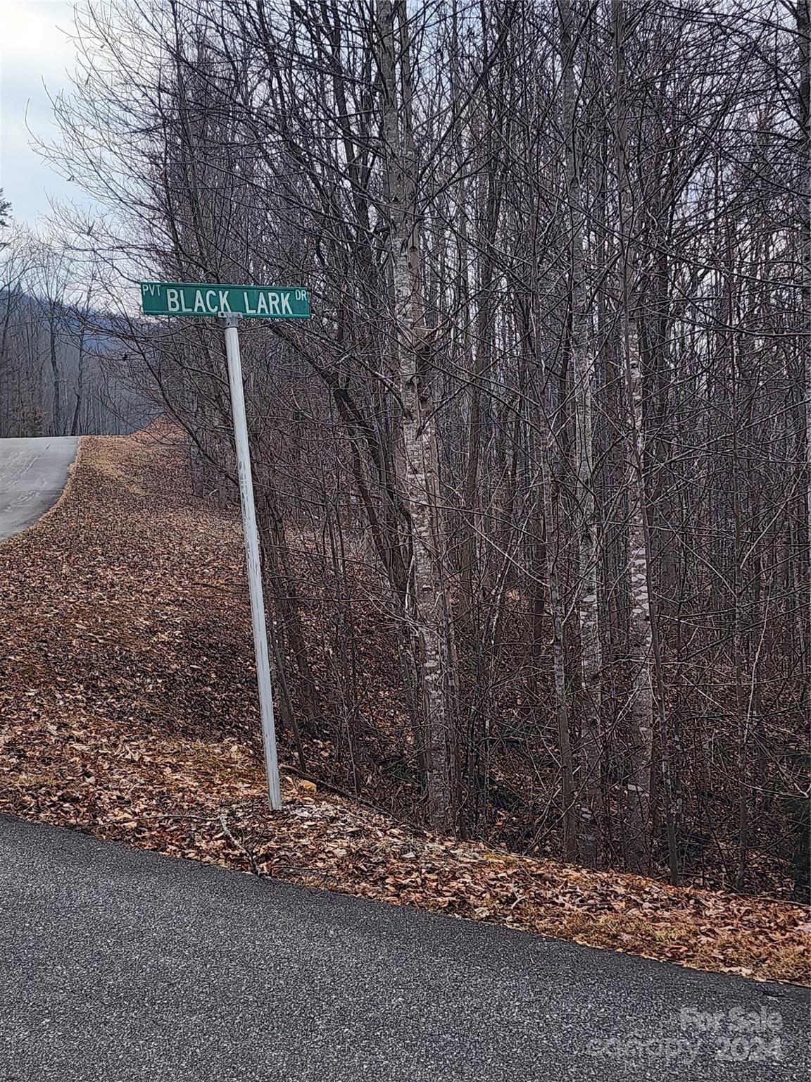 Lot #73 Black Lark Drive