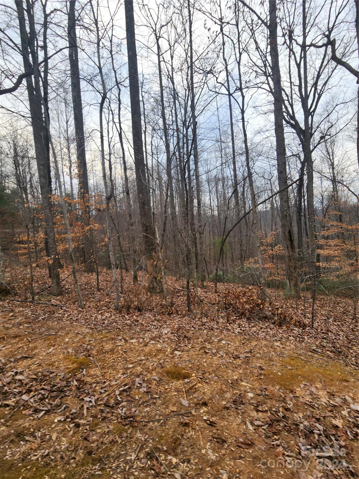 Lot #73 Black Lark Drive