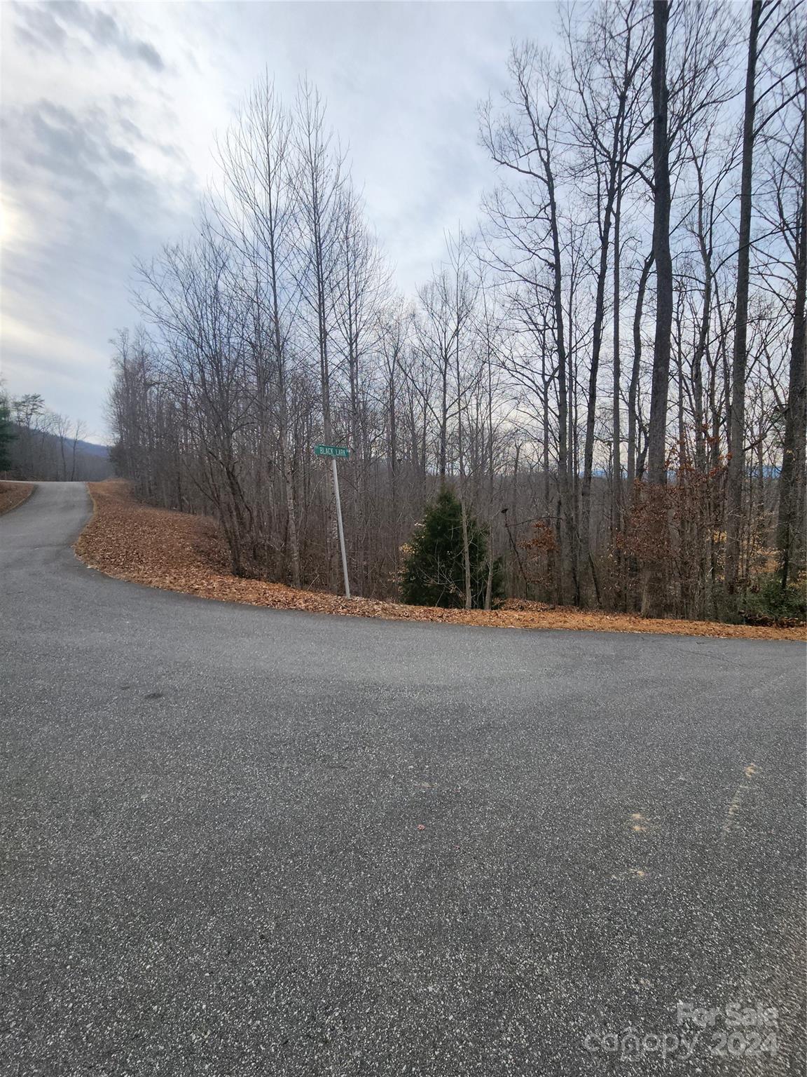 Lot #73 Black Lark Drive