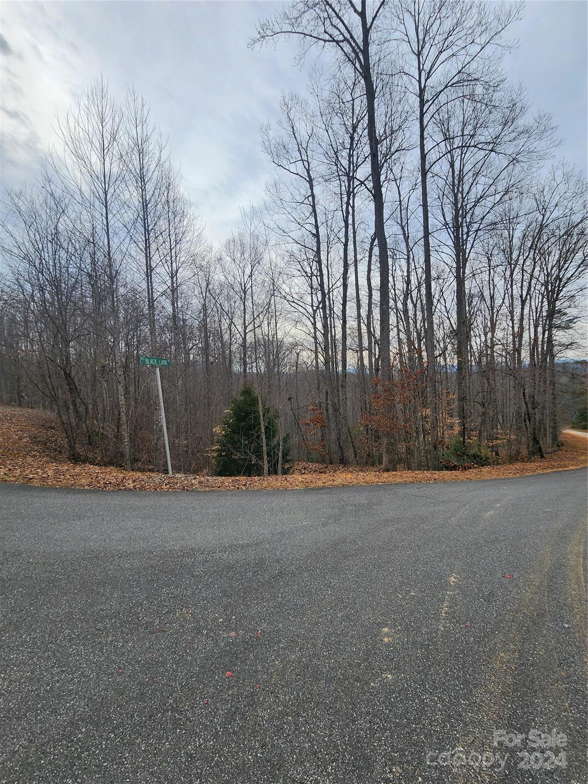 Lot #73 Black Lark Drive