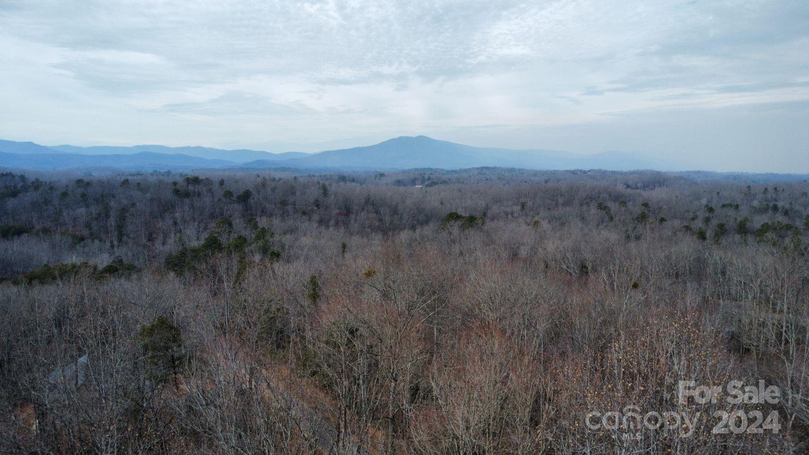 Lot #73 Black Lark Drive
