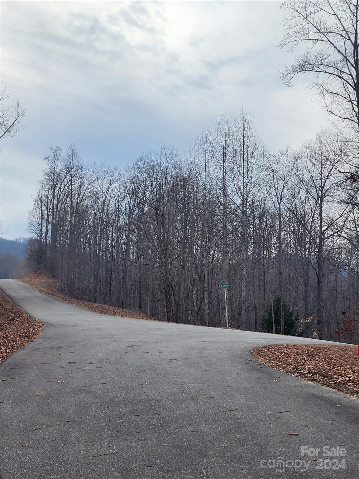 Lot #73 Black Lark Drive