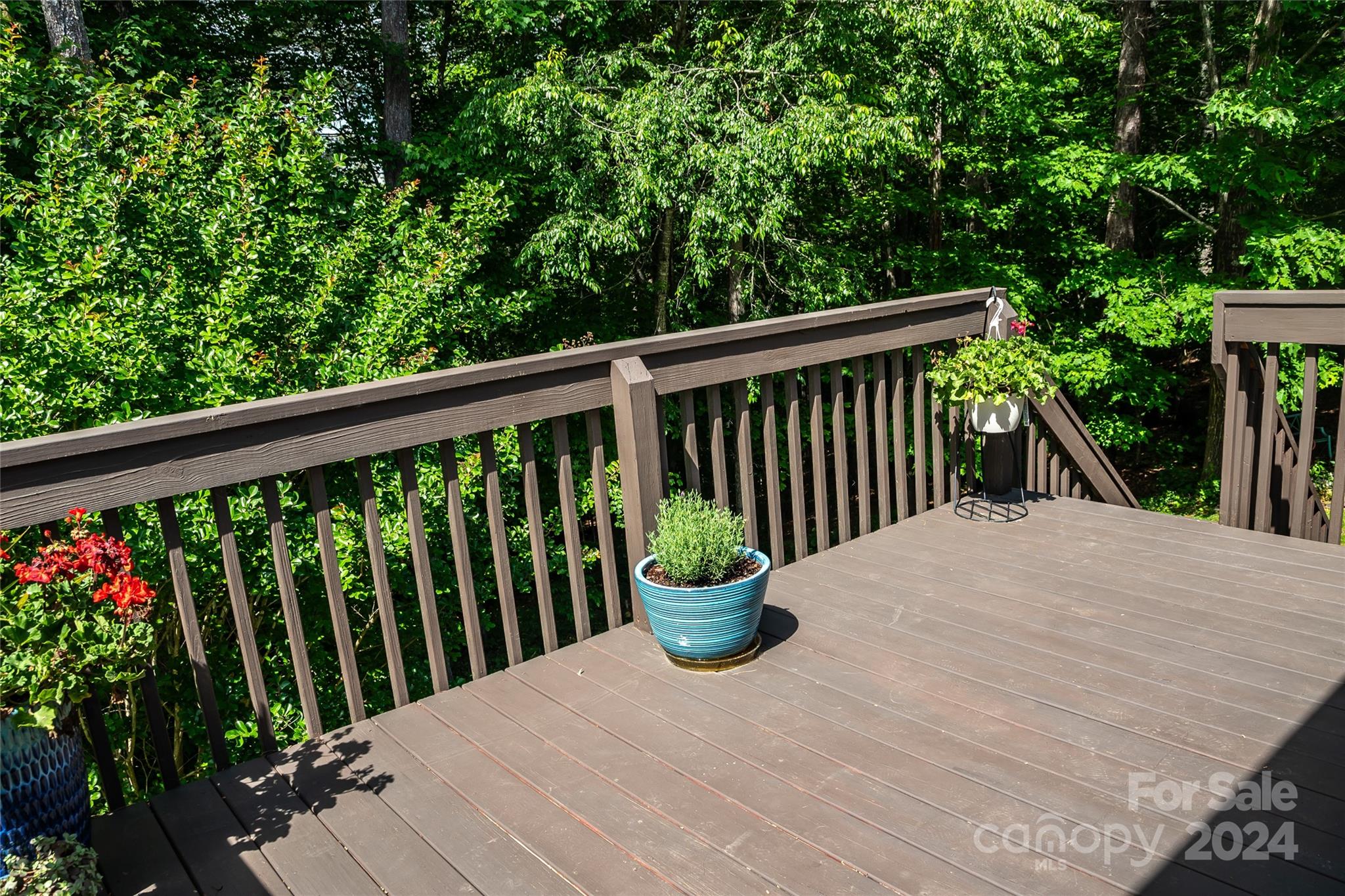 289 Forest Glen Way
