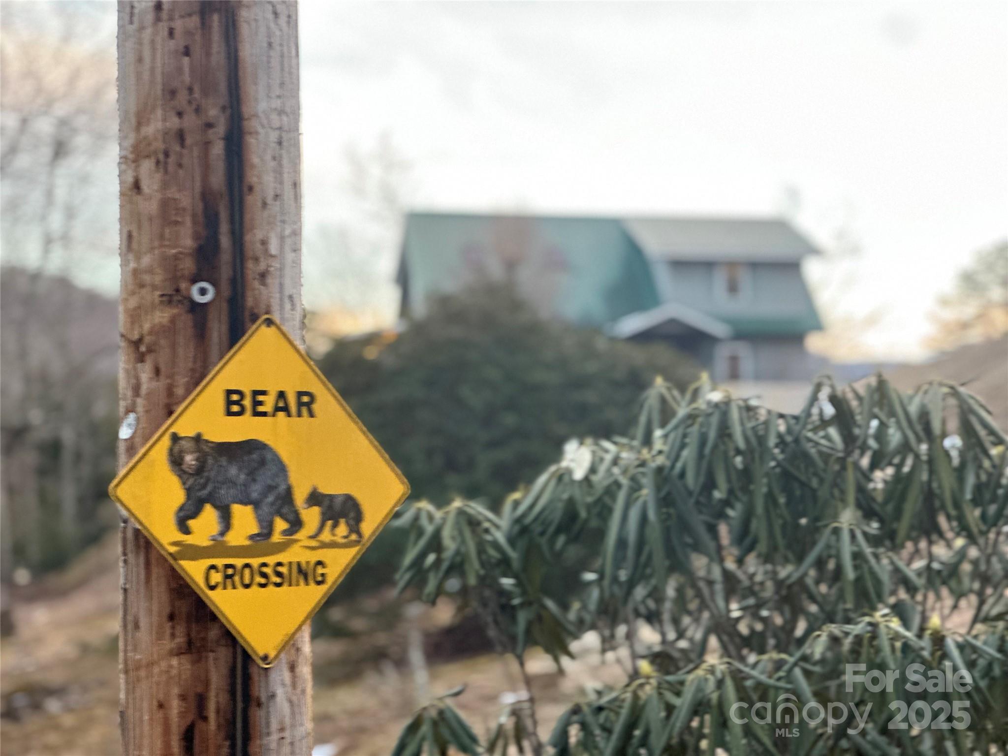 29 Down To Earth Drive