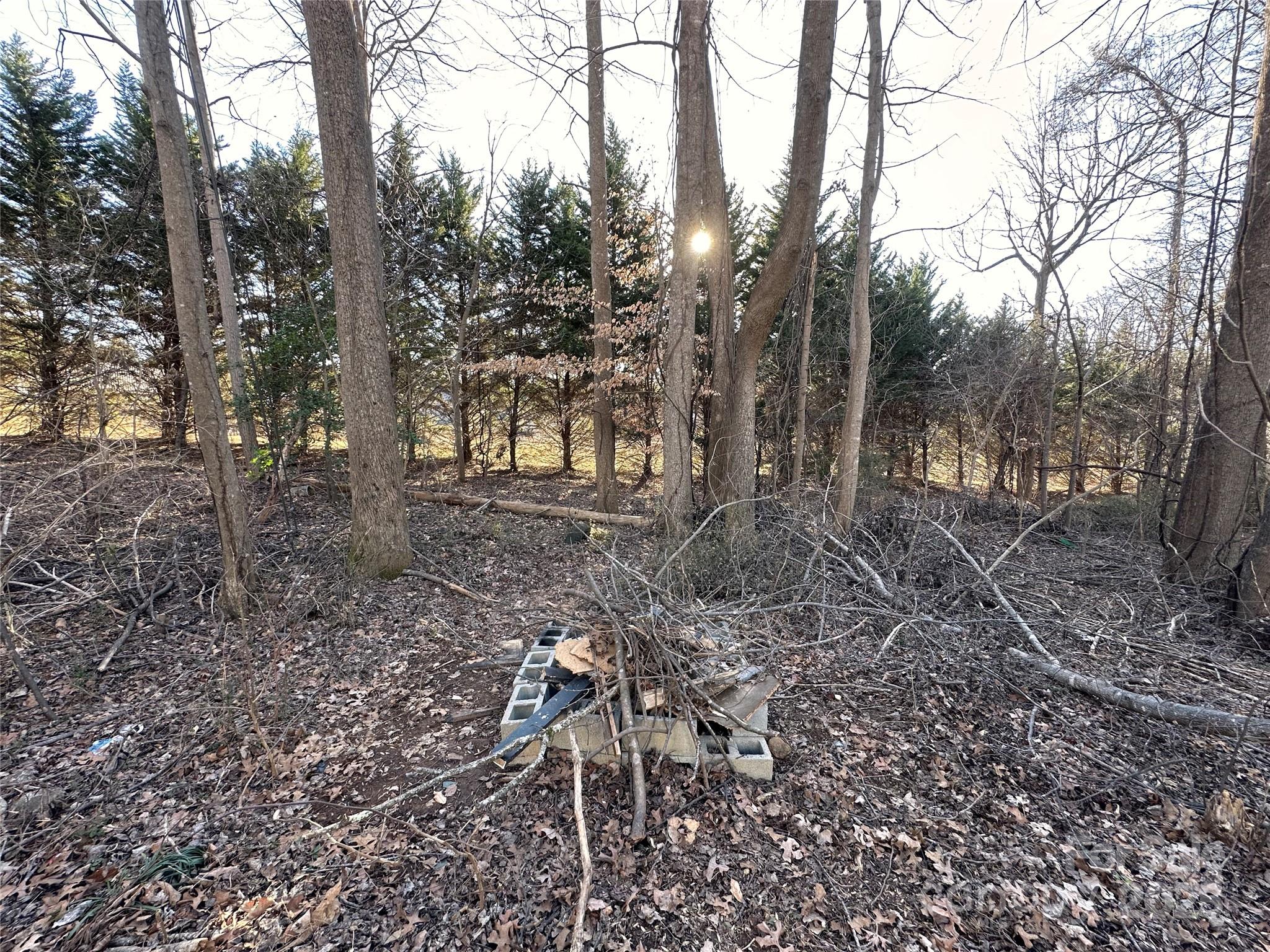 113 Highlander Street