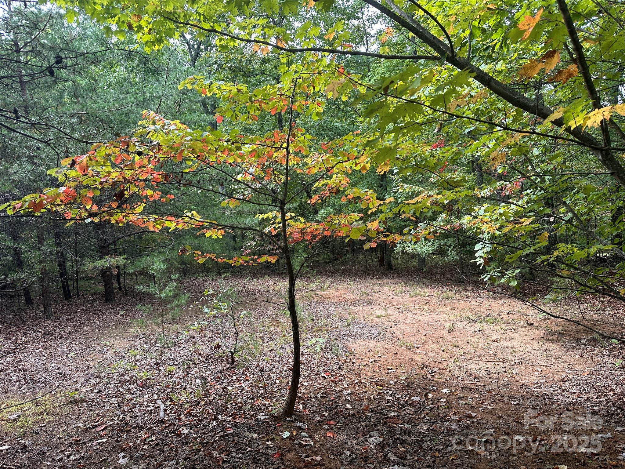 333 Mossy Oak Trail Unit: 164
