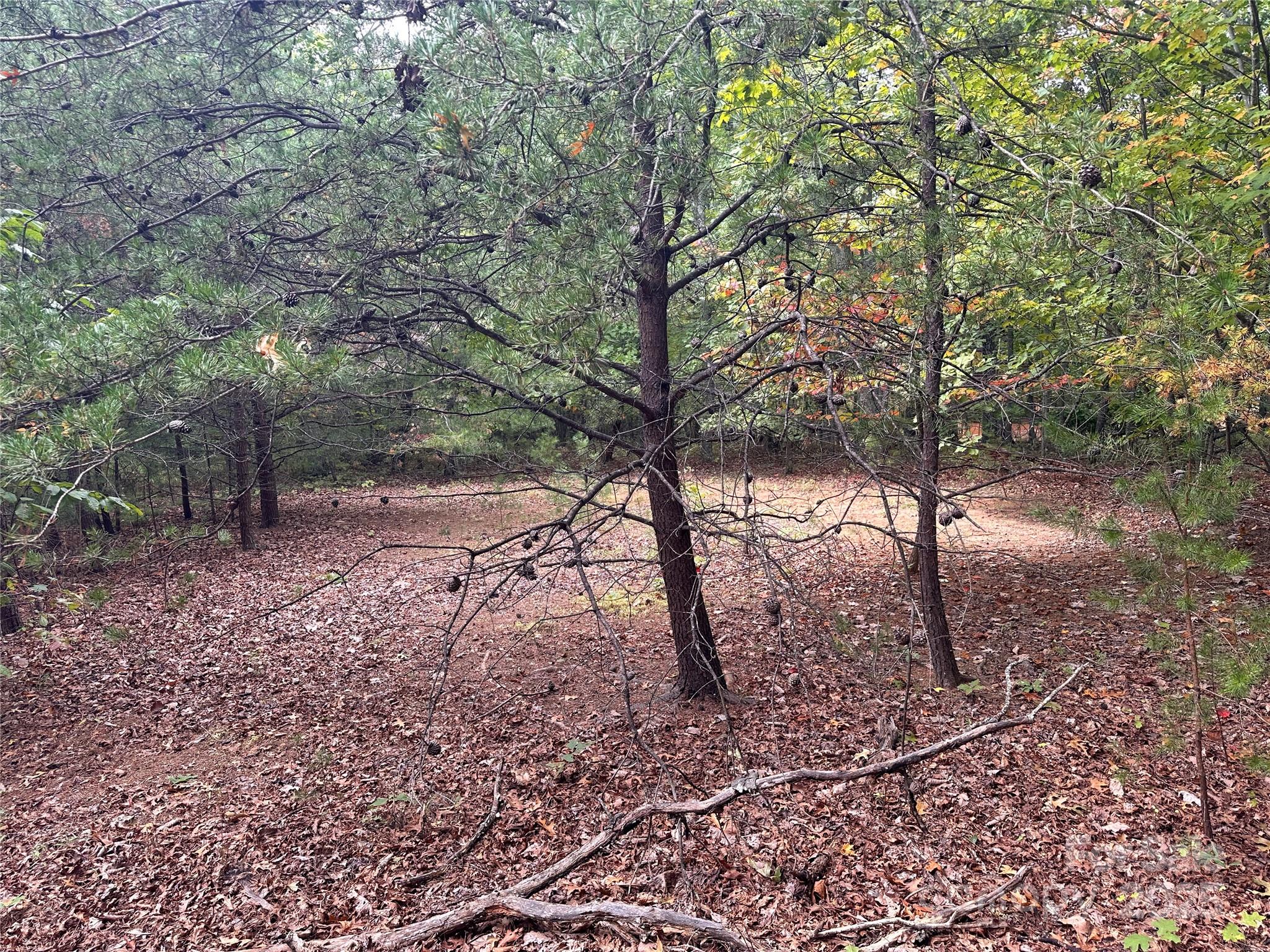 333 Mossy Oak Trail Unit: 164