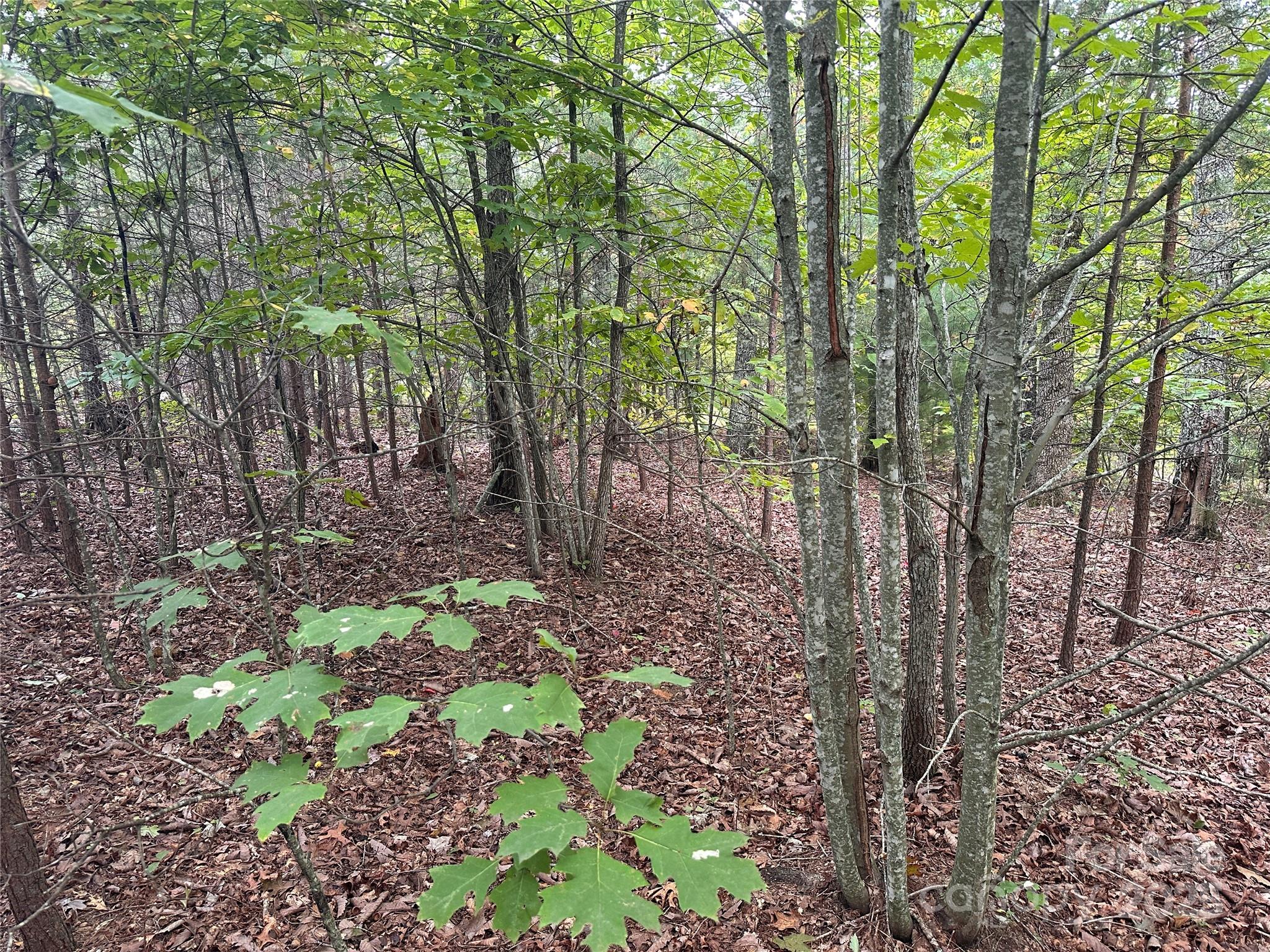 333 Mossy Oak Trail Unit: 164