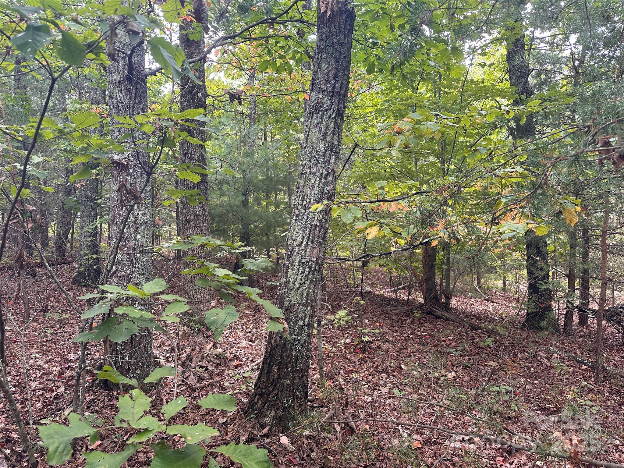 333 Mossy Oak Trail Unit: 164