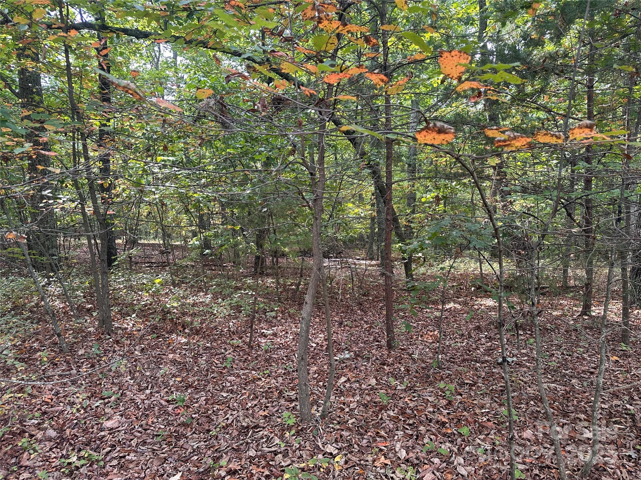 333 Mossy Oak Trail Unit: 164