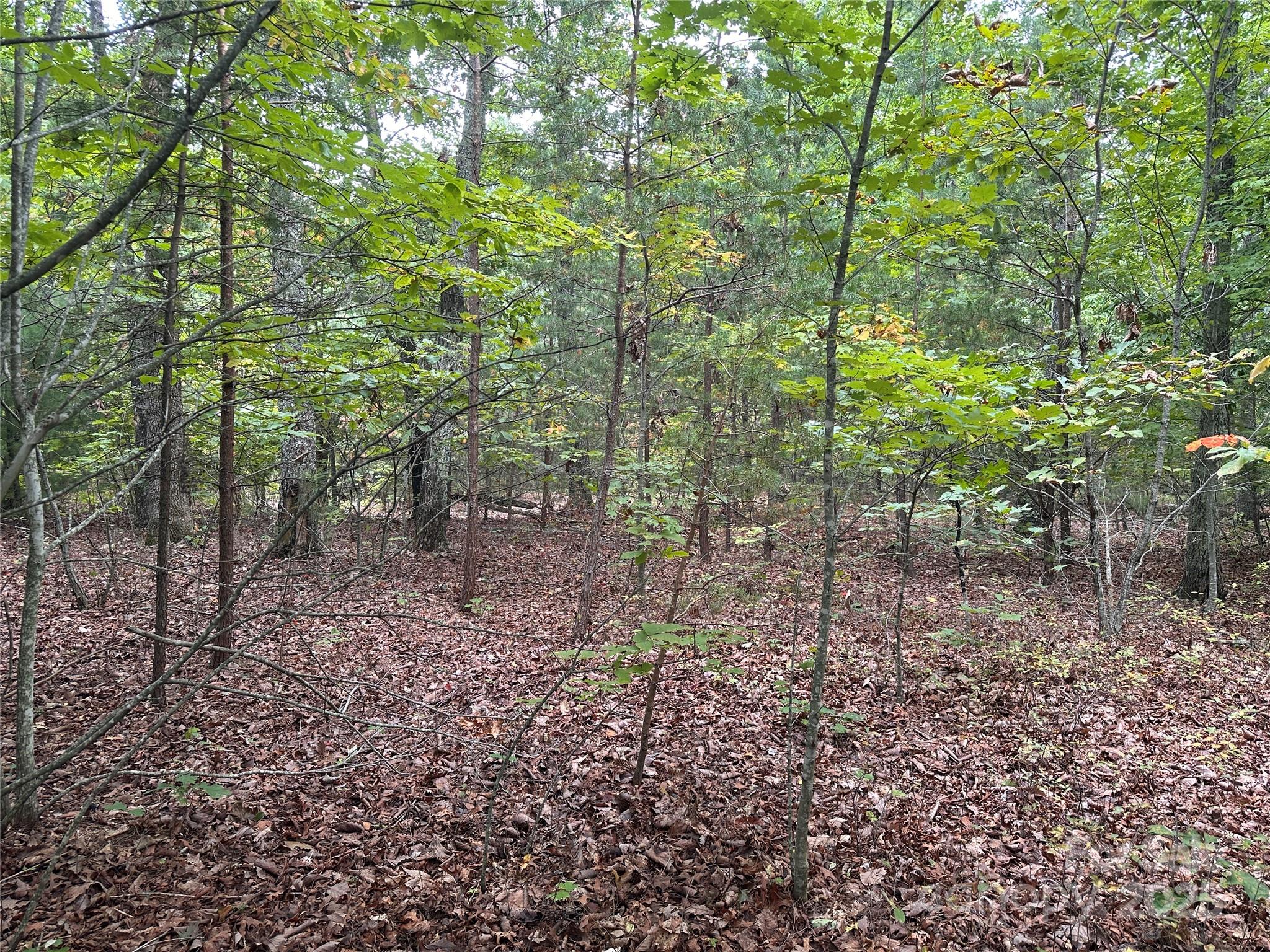 333 Mossy Oak Trail Unit: 164