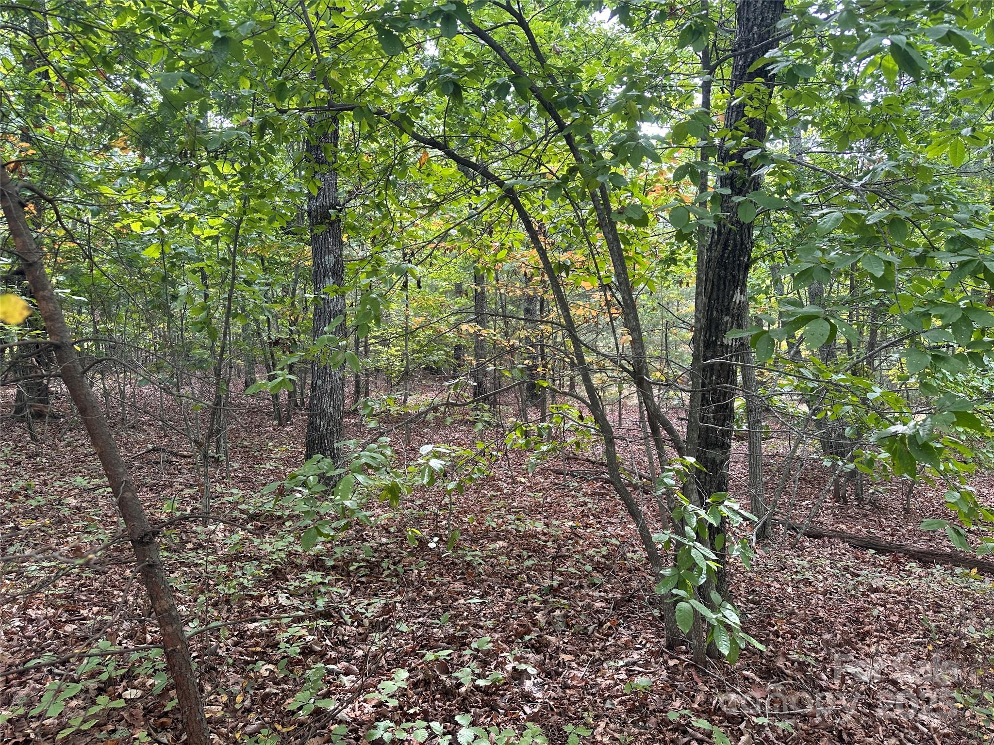 333 Mossy Oak Trail Unit: 164