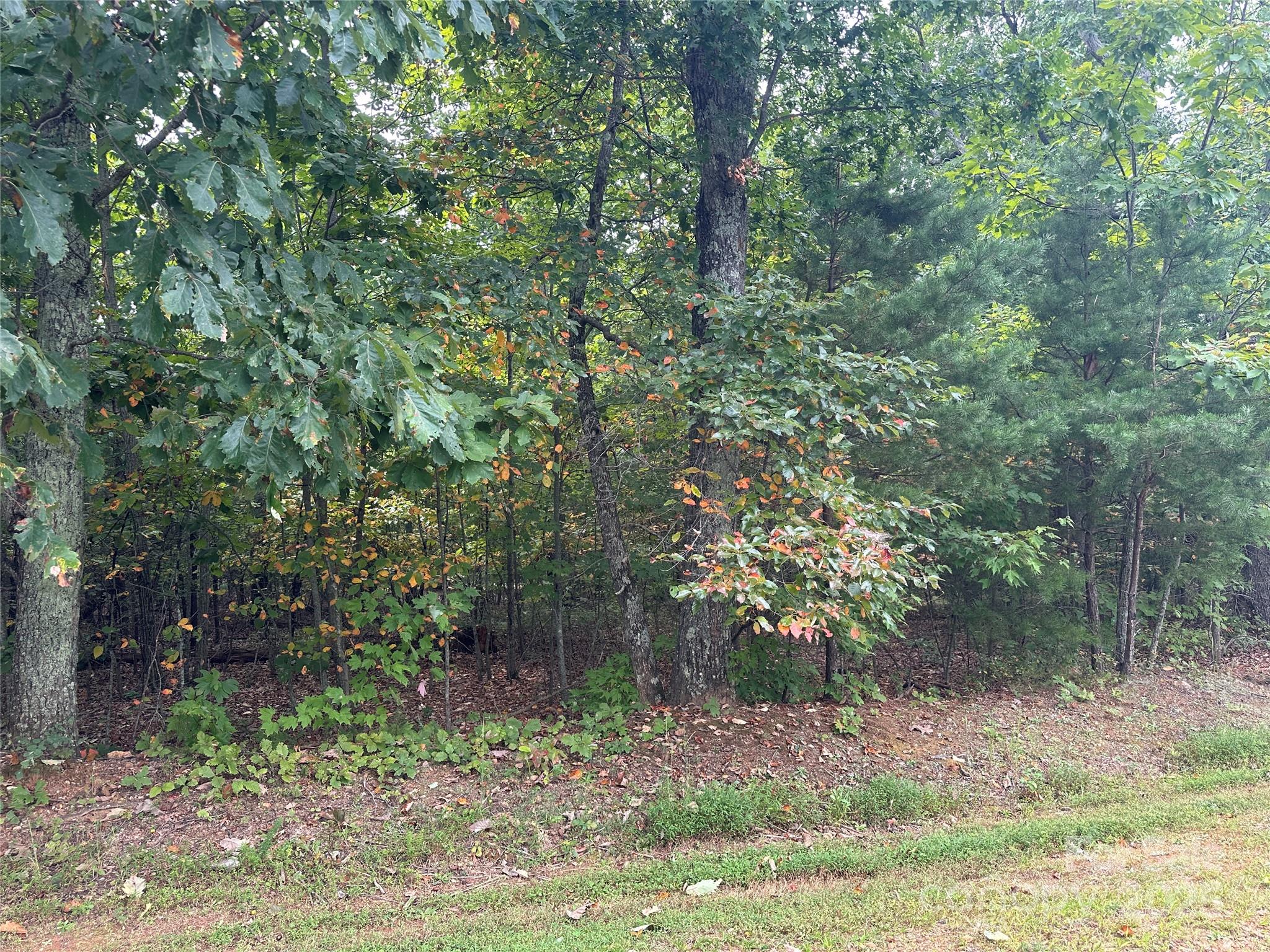 333 Mossy Oak Trail Unit: 164