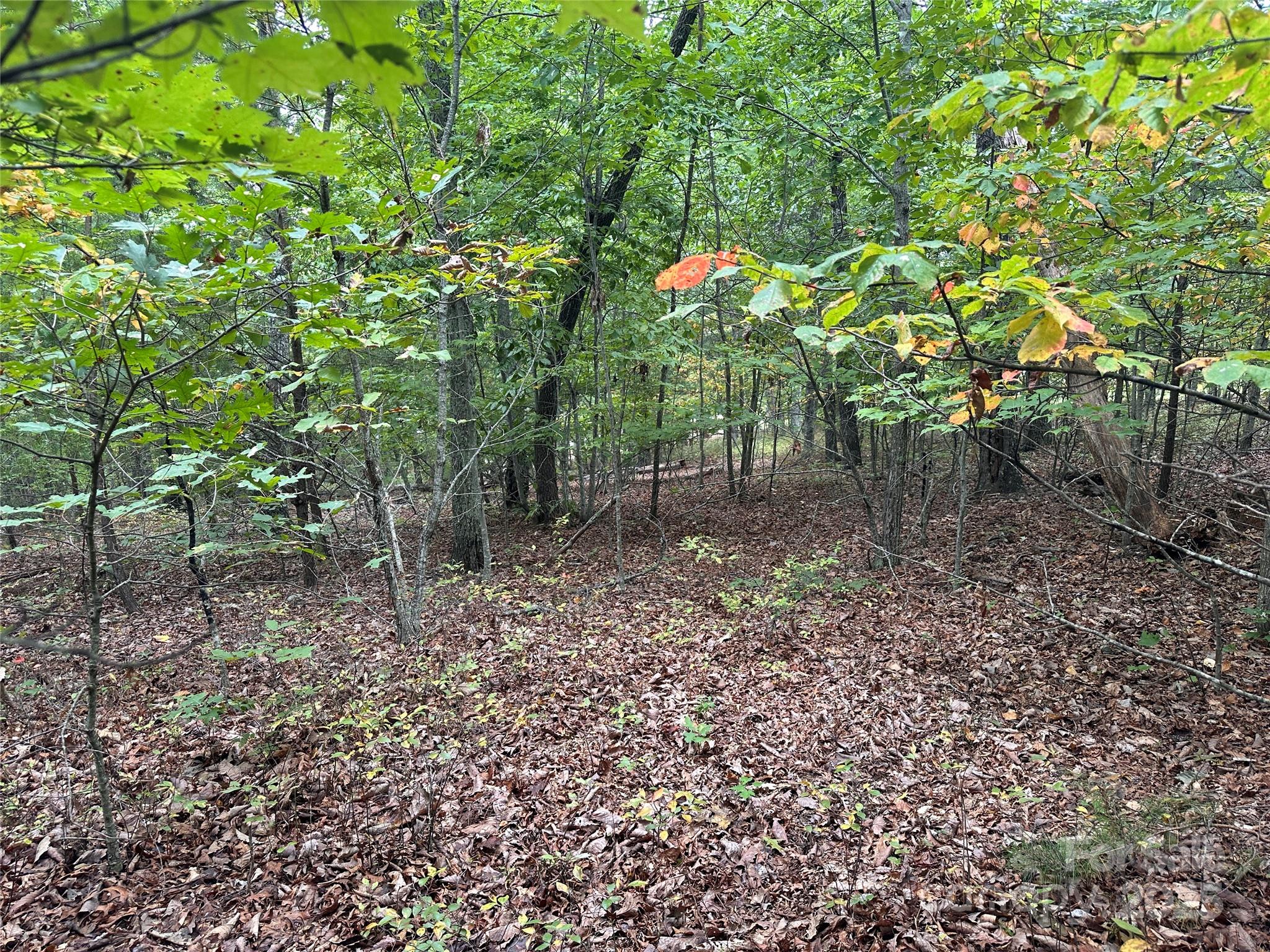 333 Mossy Oak Trail Unit: 164