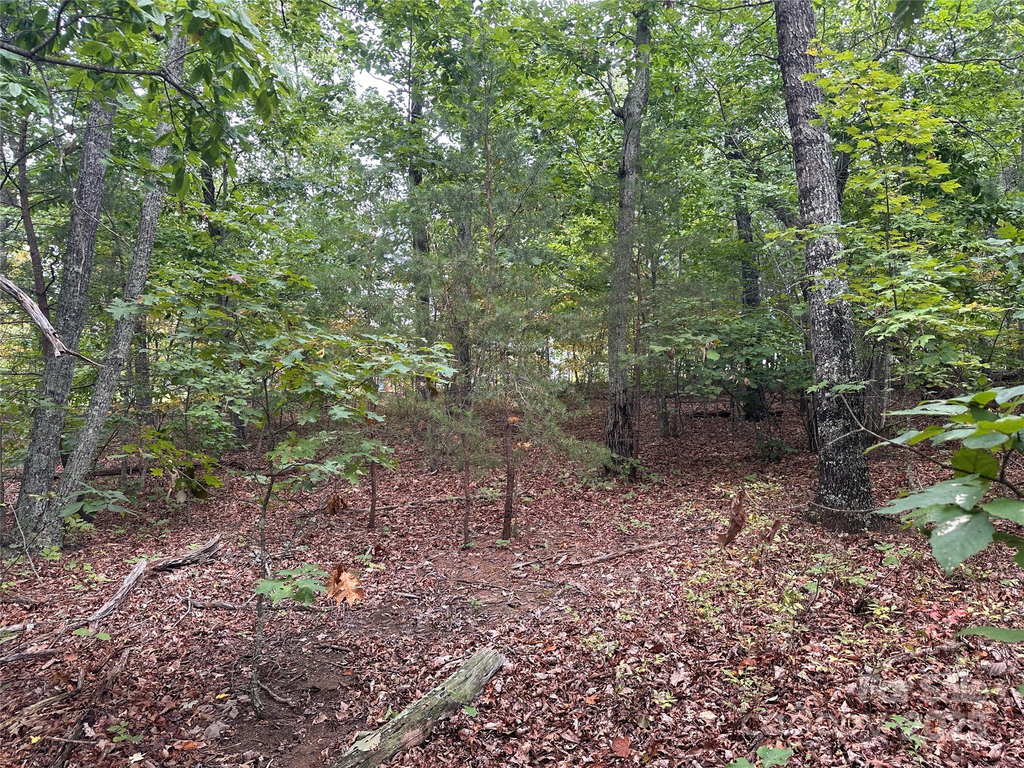 333 Mossy Oak Trail Unit: 164