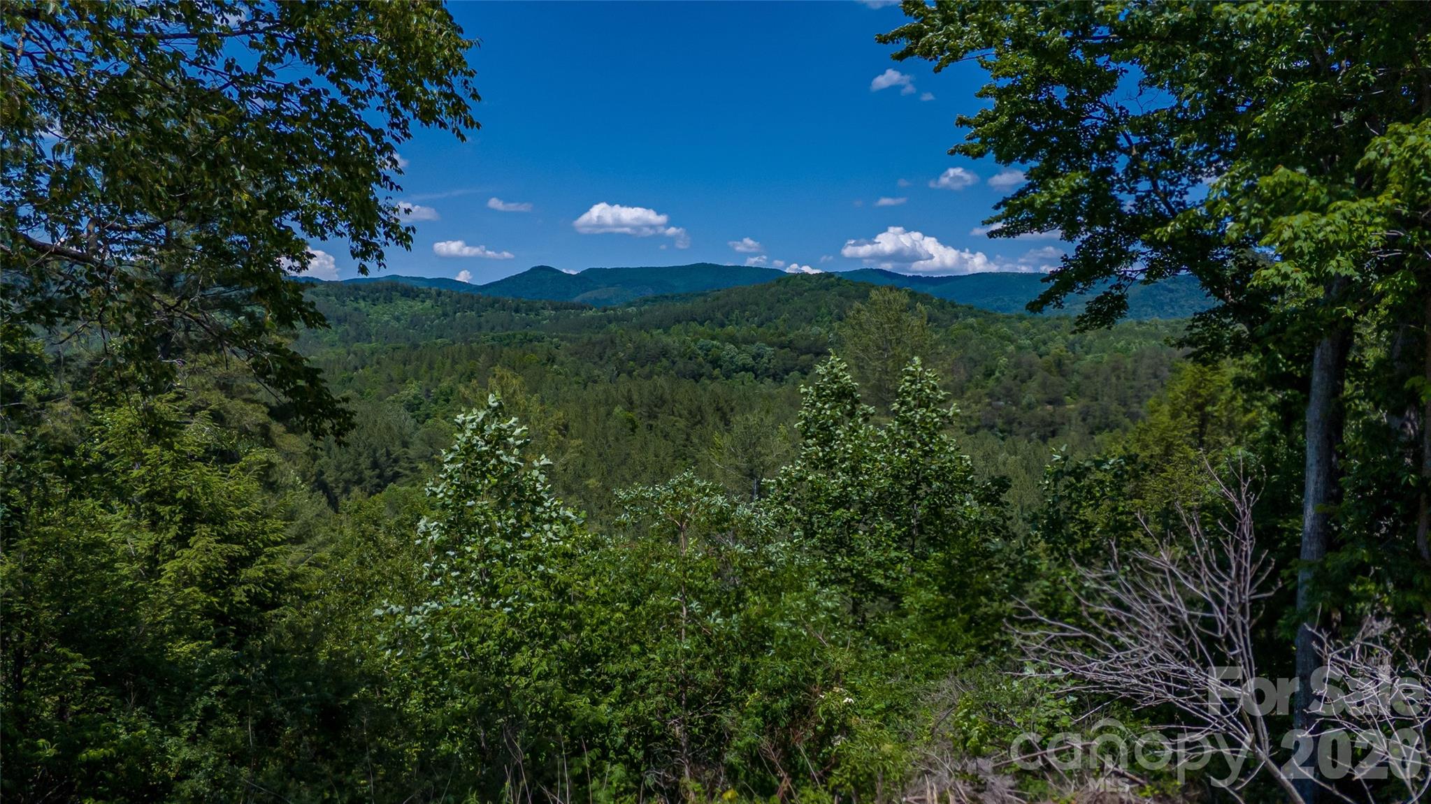 1542 Hwy 226 Highway