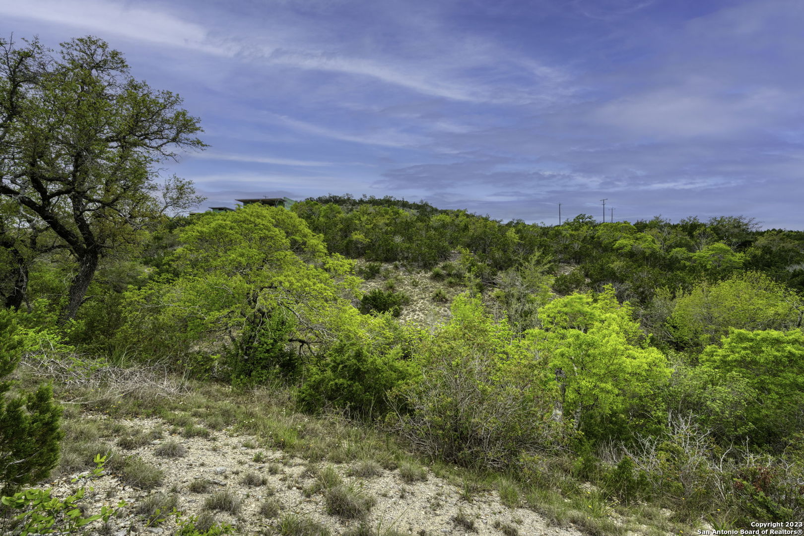 23039 Juliette Ridge