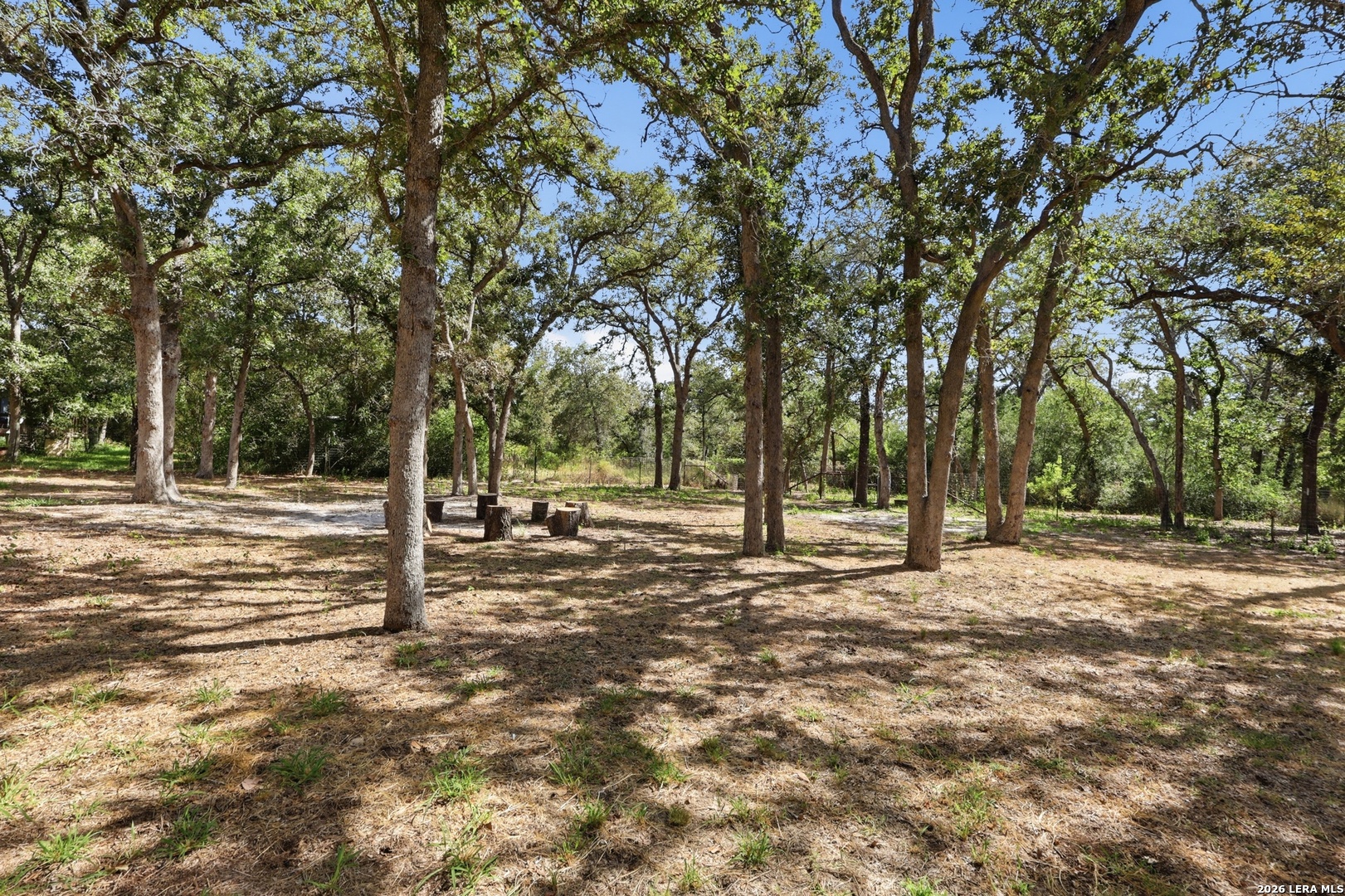 180 Sandy Oaks