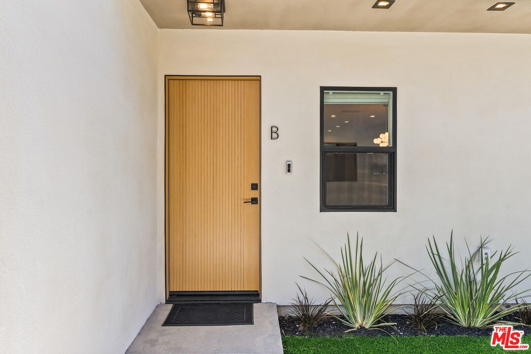 Entry with a vertical wood door, dark-framed window, and spiky plants along the porch.