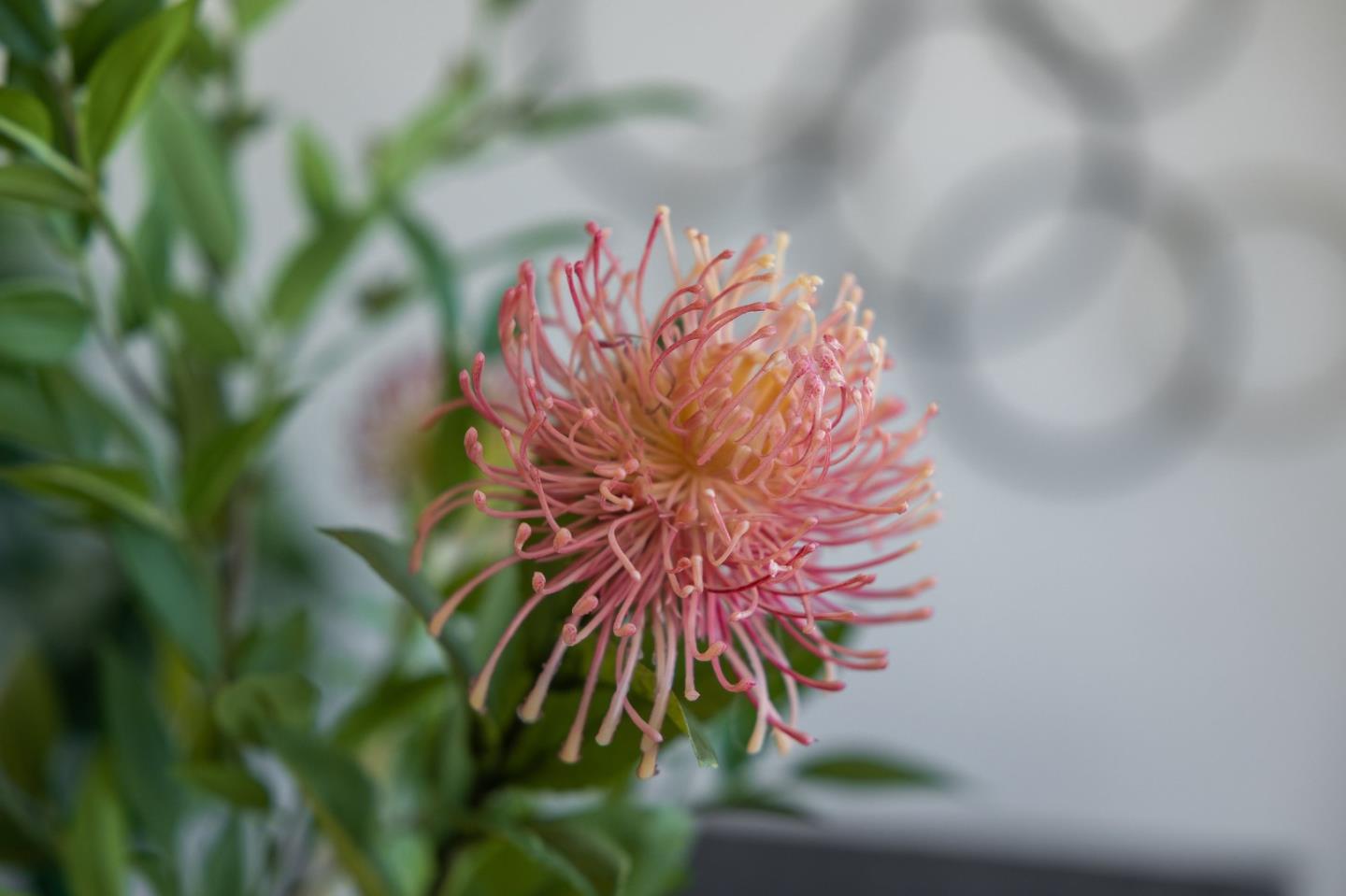 55 Appian Way Unit: C