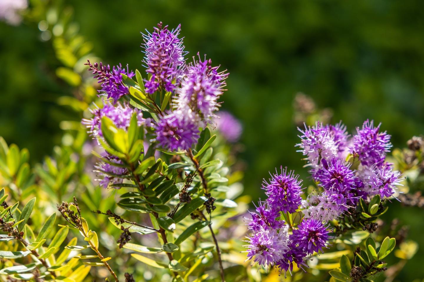 55 Appian Way Unit: C