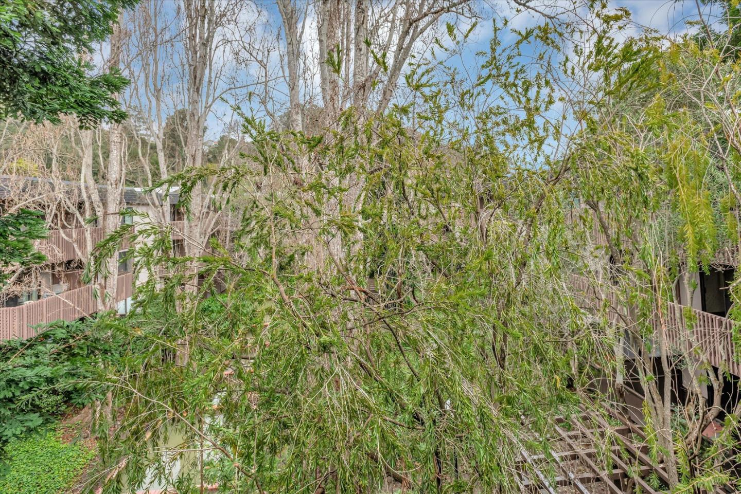 6348 Shelter Creek LN