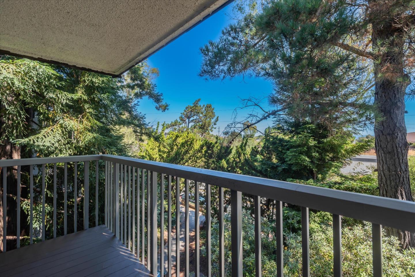2331 Shelter Creek LN