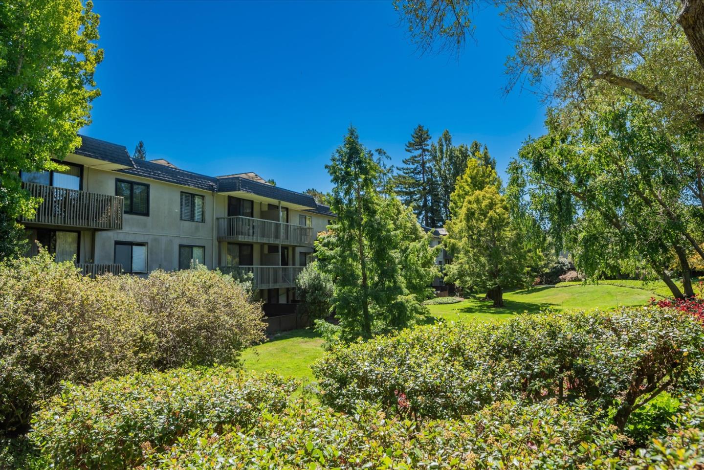 2331 Shelter Creek LN