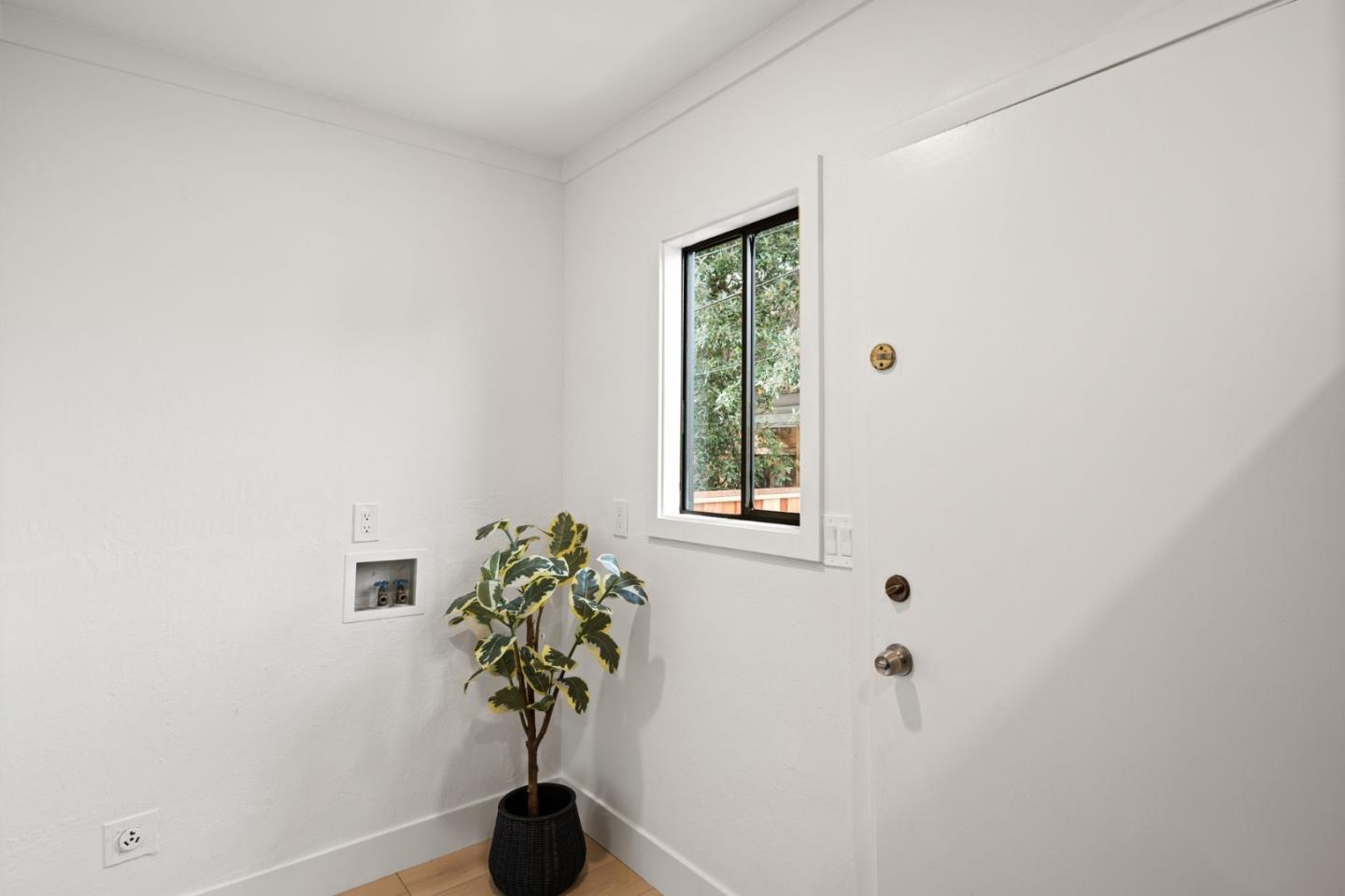 151 Dutton AVE