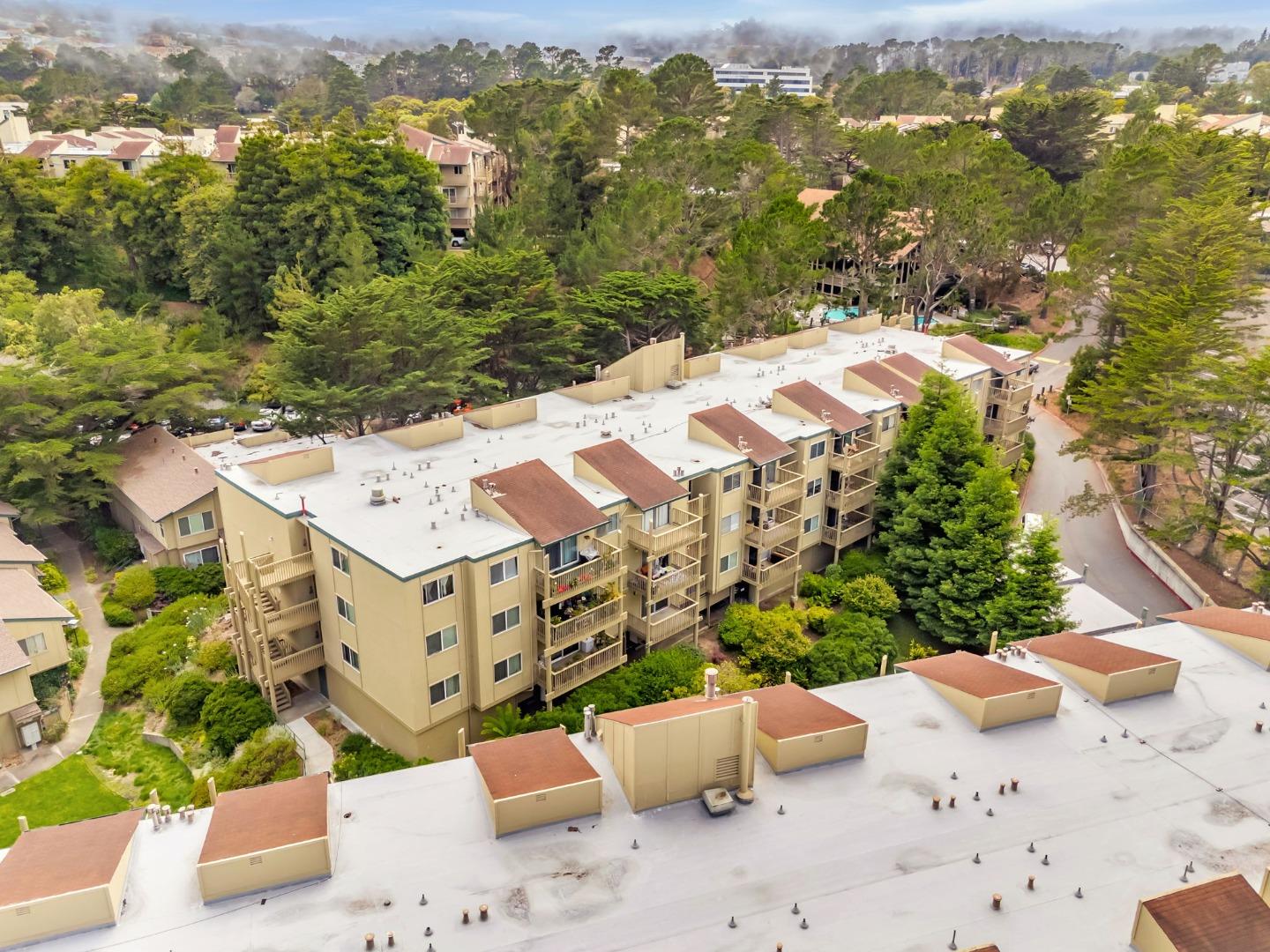 377 Mandarin Drive