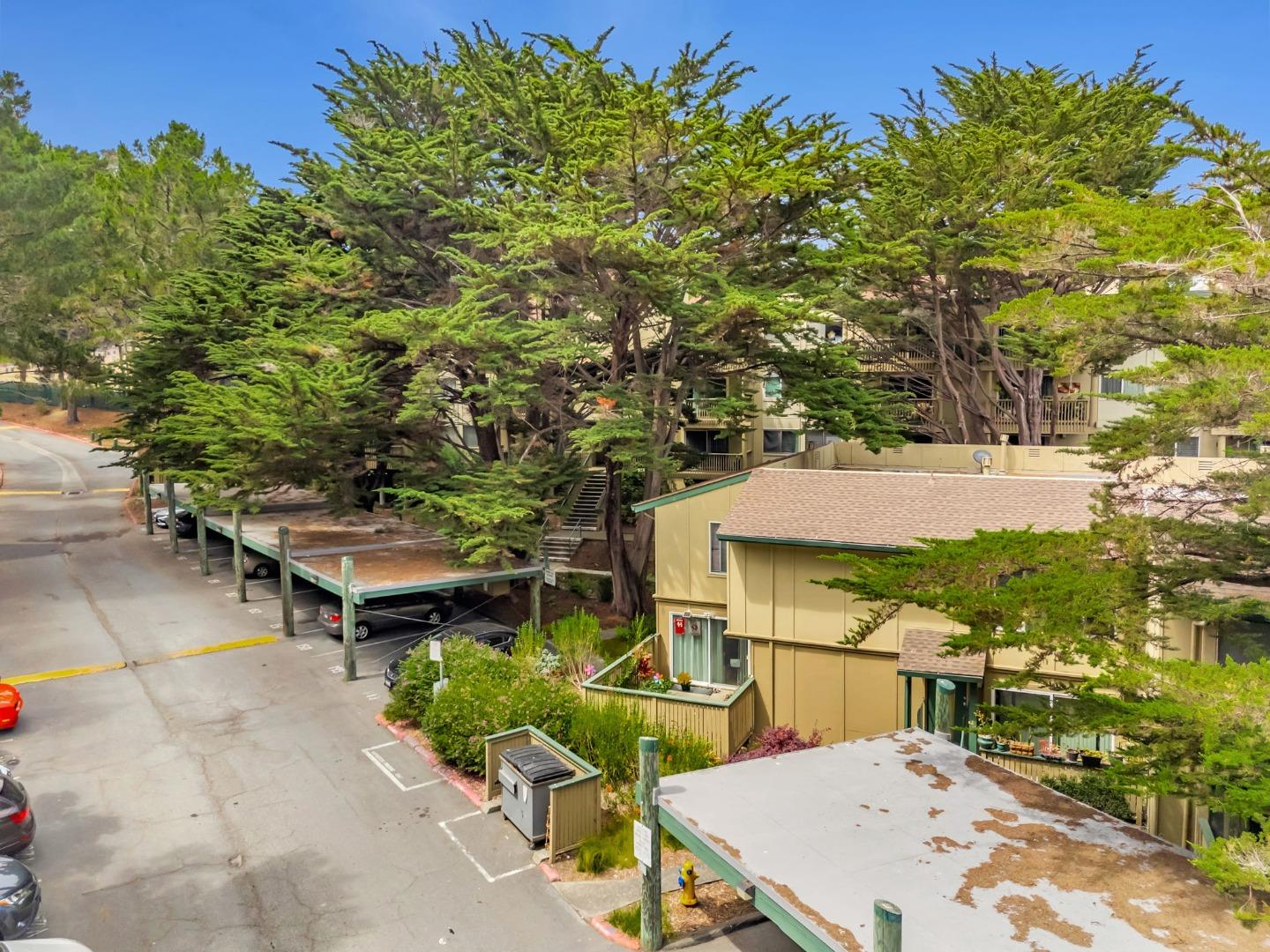 377 Mandarin Drive