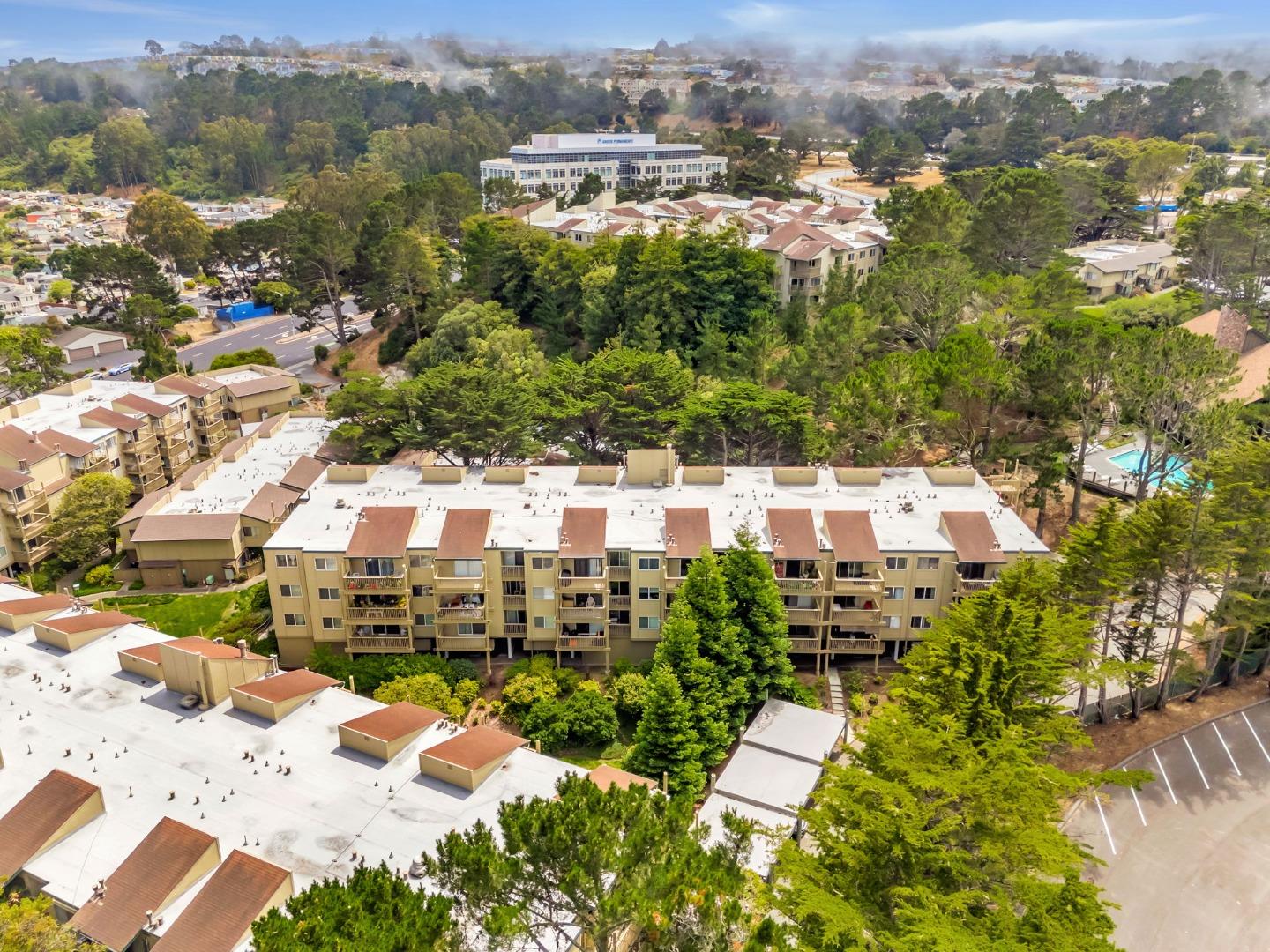 377 Mandarin Drive