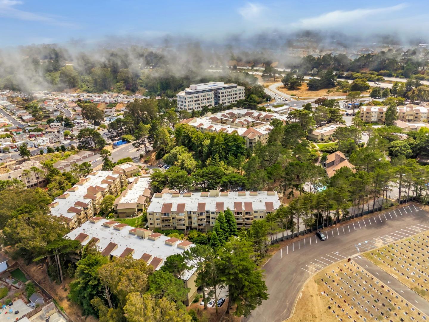 377 Mandarin Drive