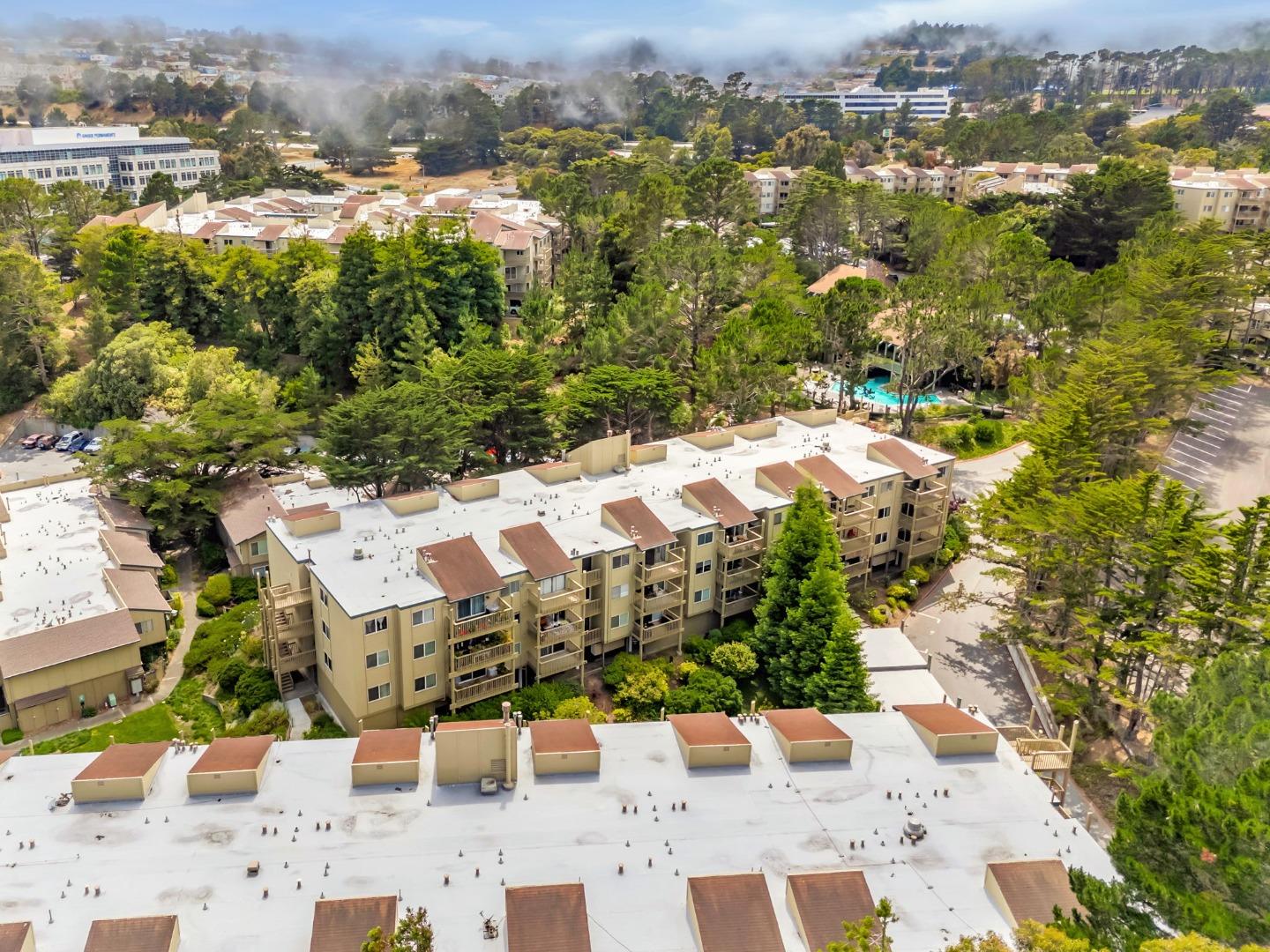 377 Mandarin Drive