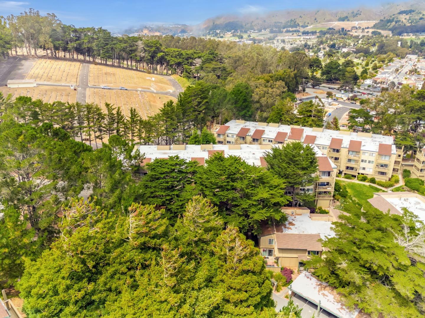 377 Mandarin Drive