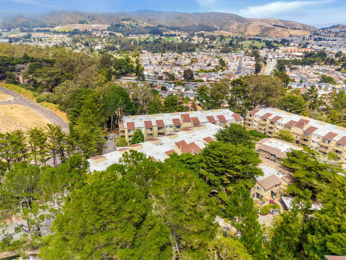 377 Mandarin Drive