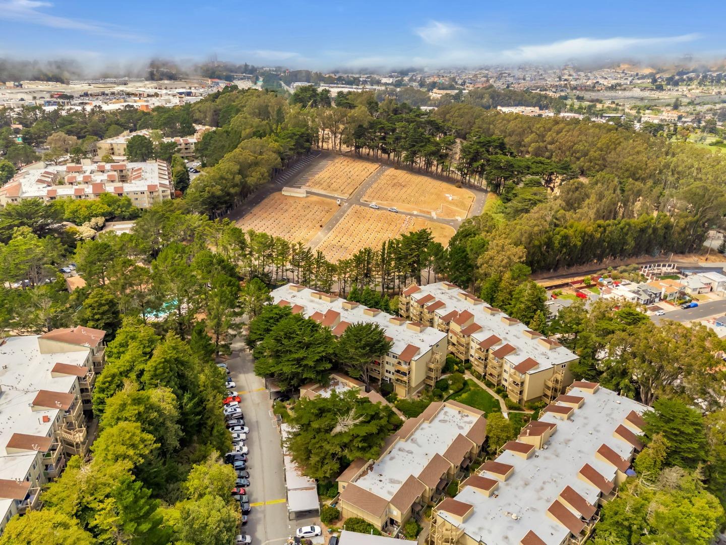 377 Mandarin Drive