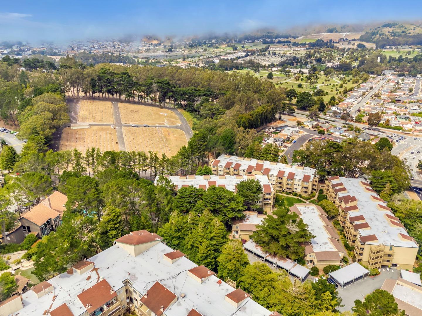 377 Mandarin Drive