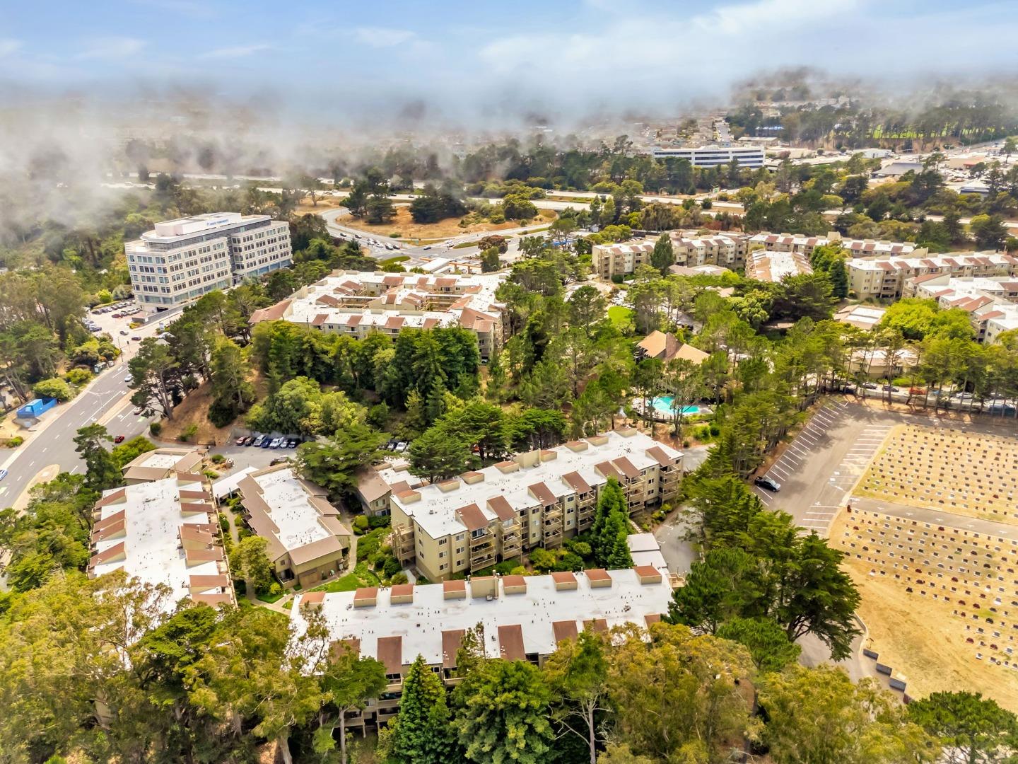 377 Mandarin Drive
