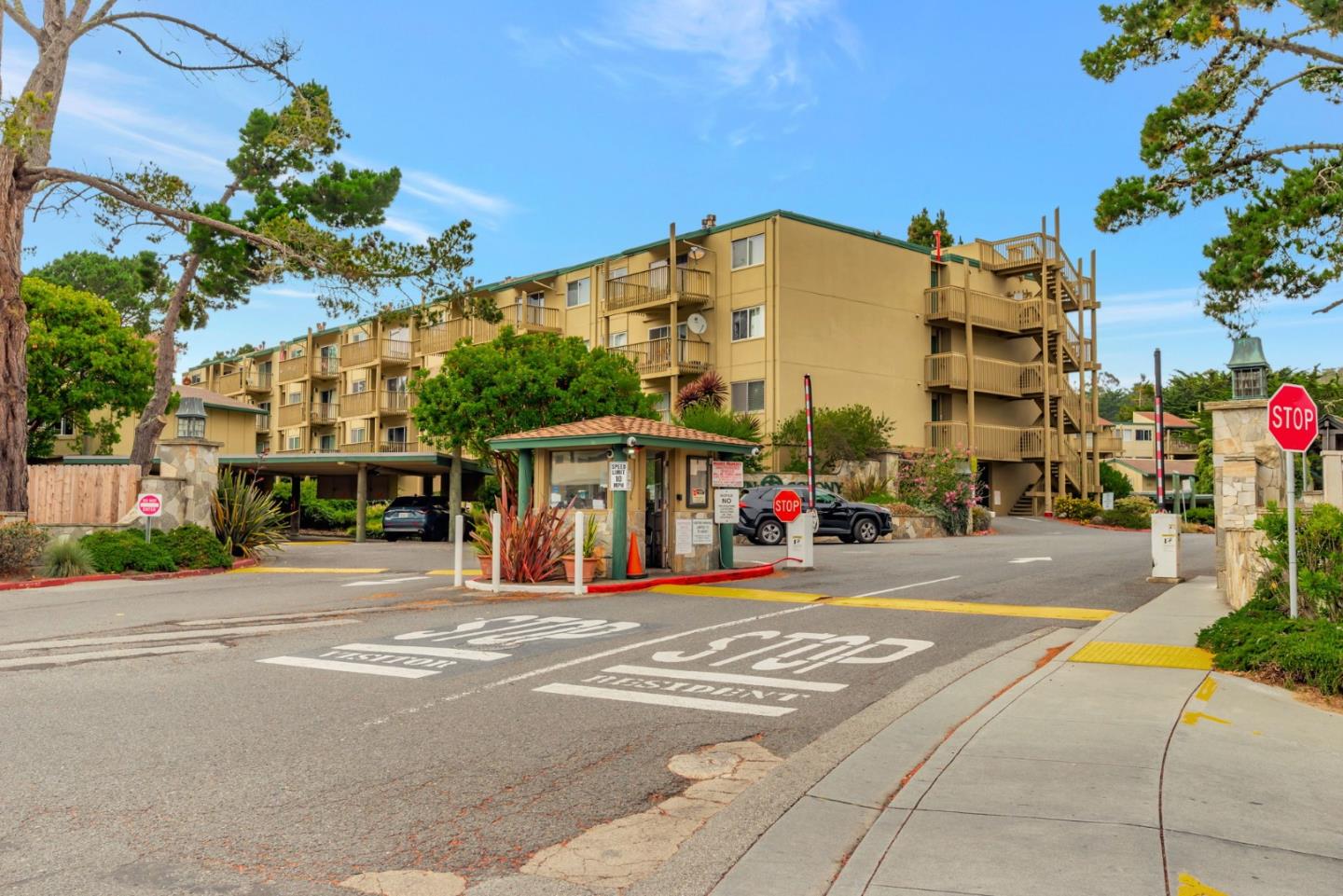 377 Mandarin Drive