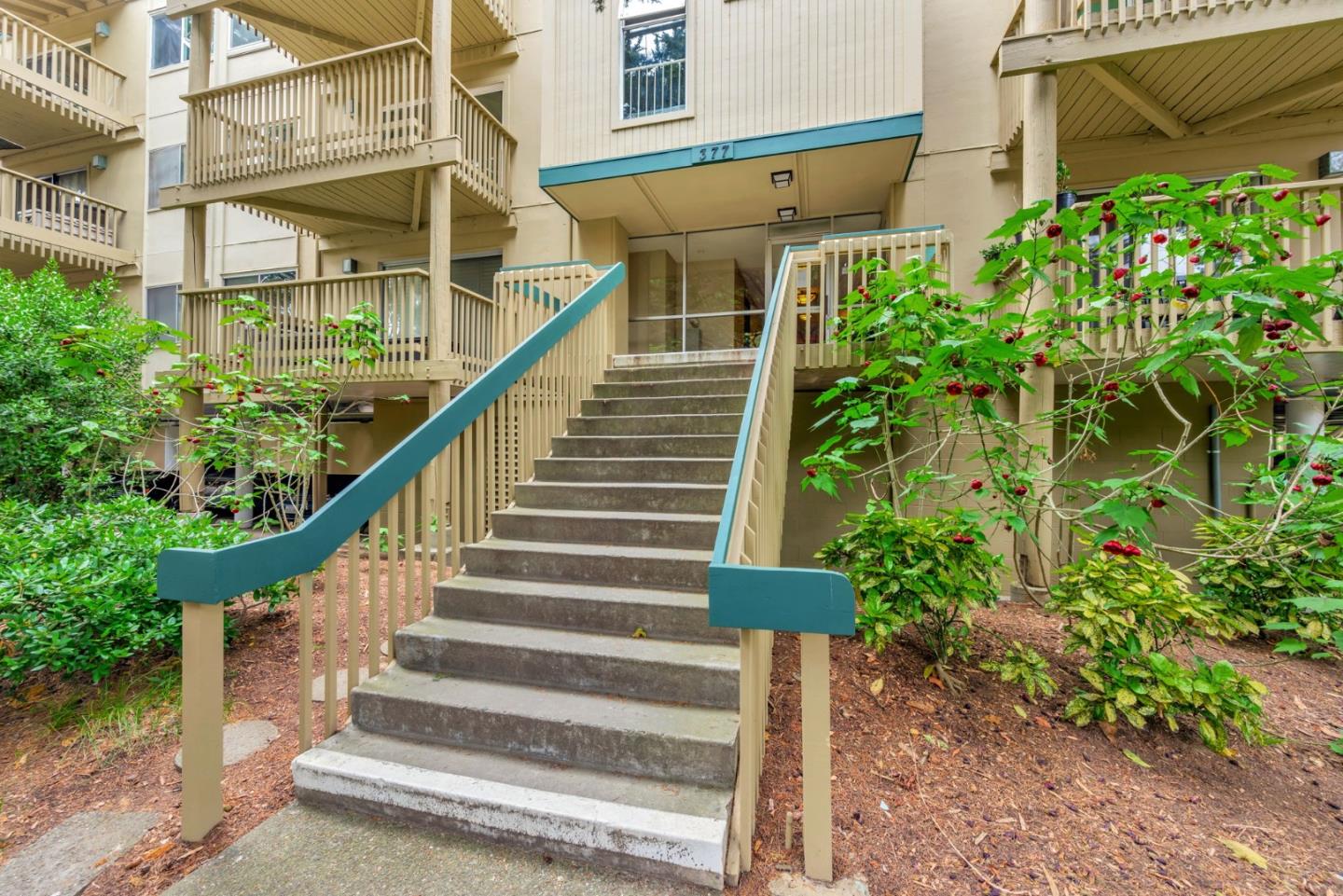 377 Mandarin Drive