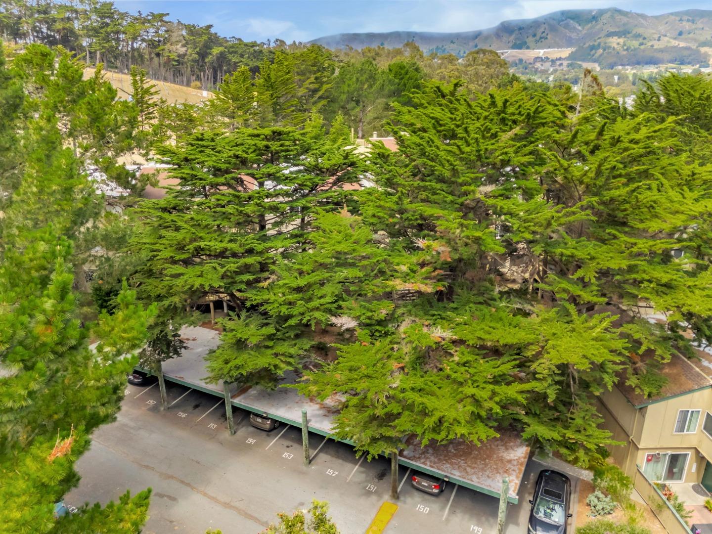 377 Mandarin Drive