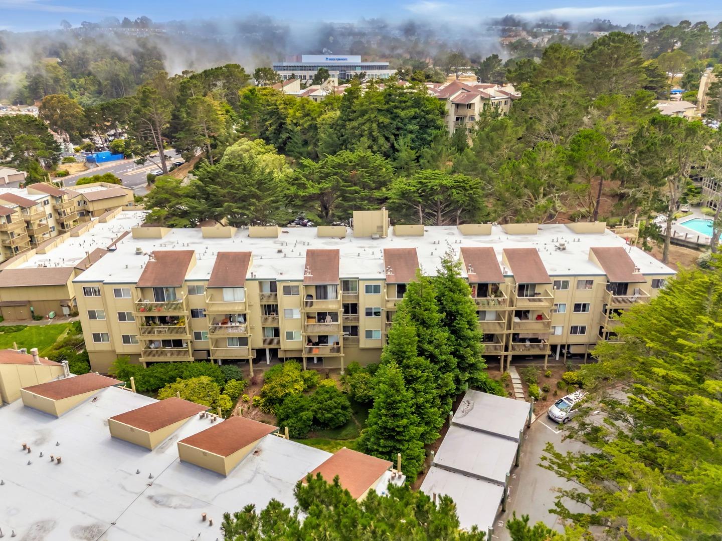 377 Mandarin Drive
