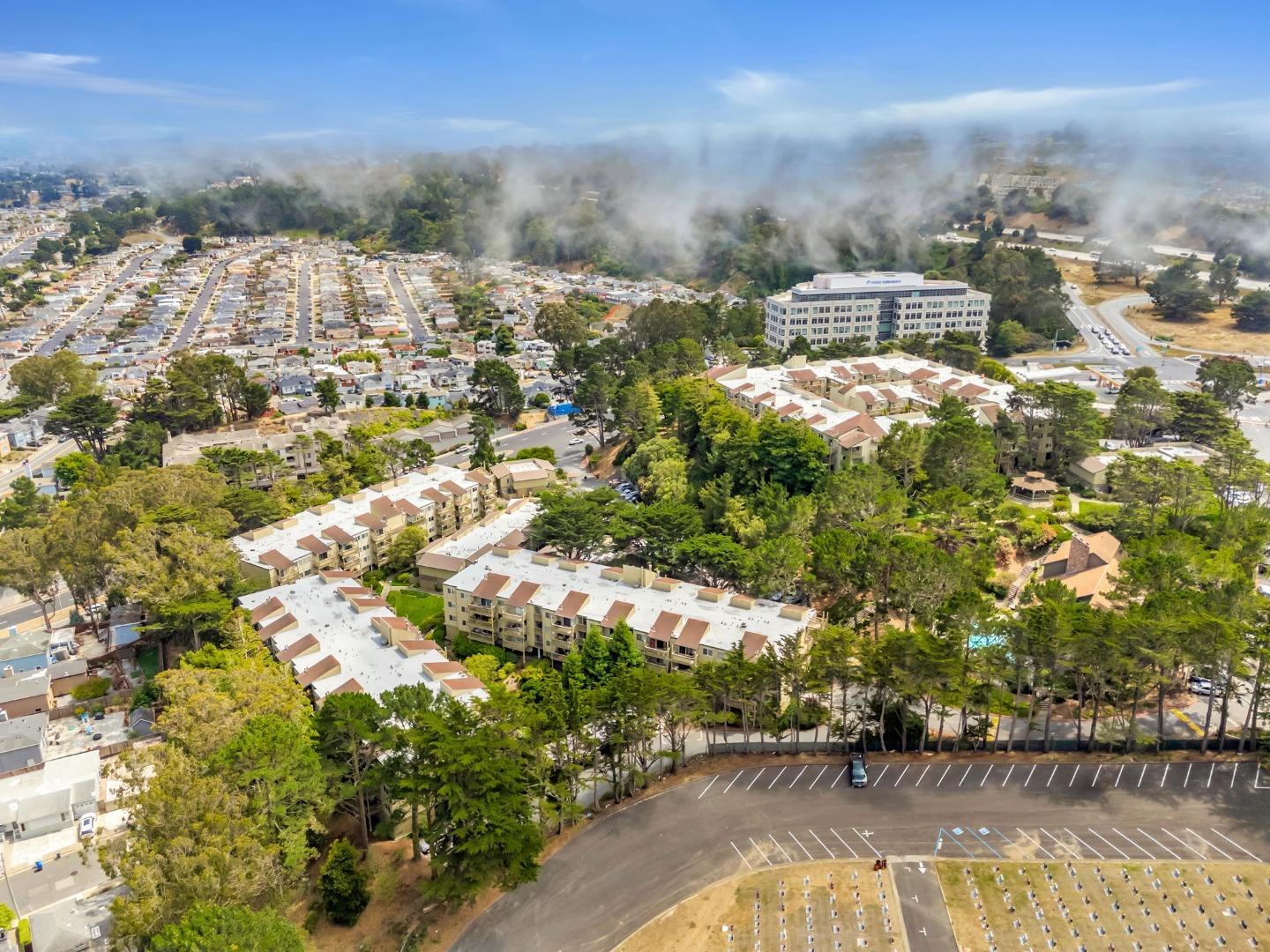 377 Mandarin Drive